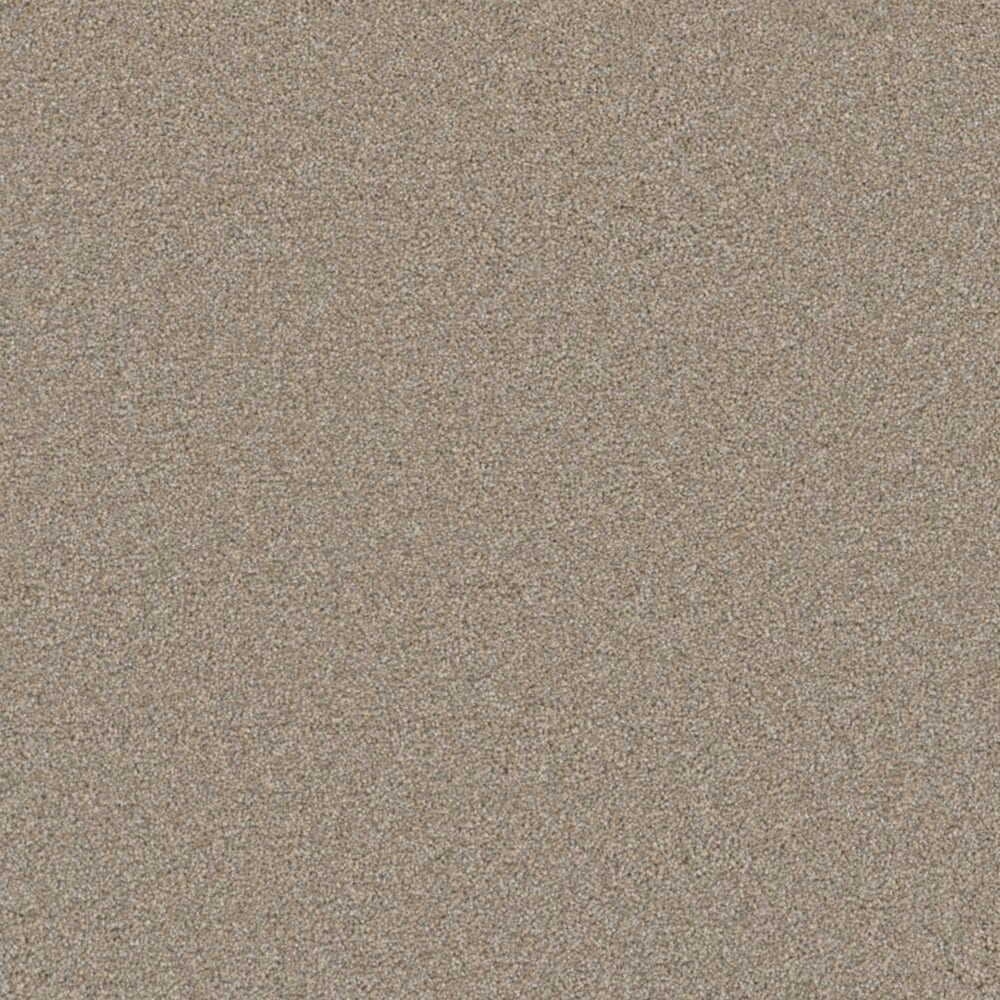 STAINMASTER S9250-719-1200-MO Half Moon Taffeta Brown 50-oz sq yard Polyester Textured Indoor Carpet