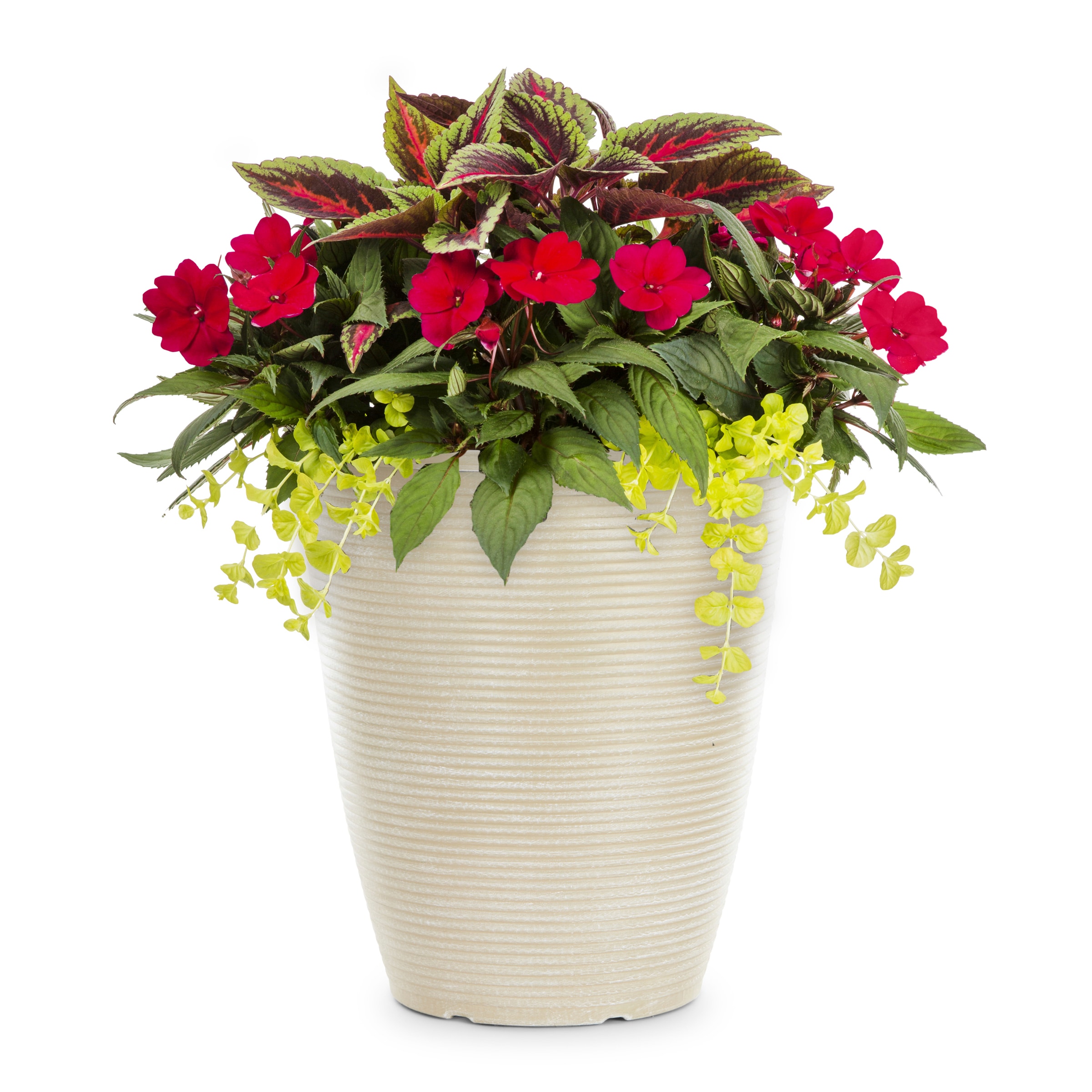 Lowe's Multicolor Mixed Annuals Combinations in 5.5-Gallon Planter in the Annuals department at 
