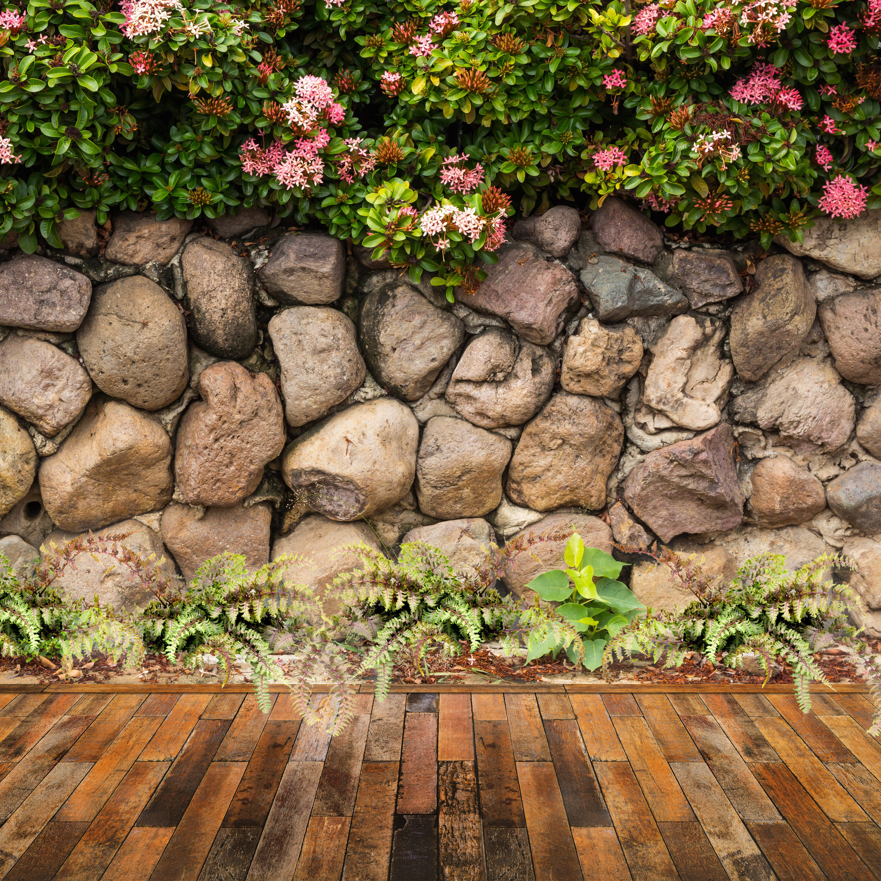  1828 perennials - View #4