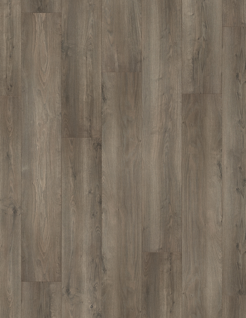Bodman Oak Gray 12-mm T x 8-in W x 50-in L Water Resistant Wood Plank Laminate Flooring (15.95-sq ft) | - allen + roth JJ-53336