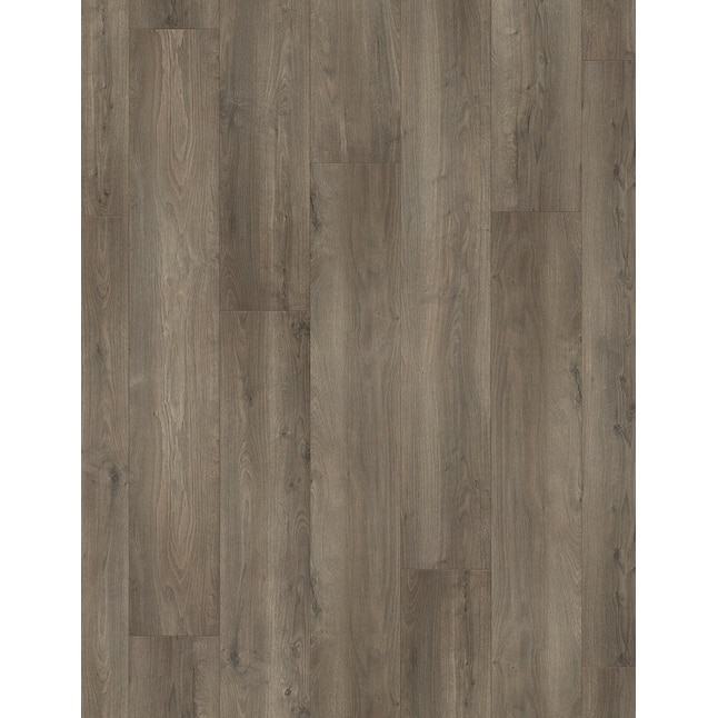 Allen + roth Bodman Oak Gray 12-mm Thick Water Resistant Wood Plank 7.56-in  W x 50.62-in L Laminate Flooring (15.95-sq ft) in the Laminate Flooring  department at Lowes.com