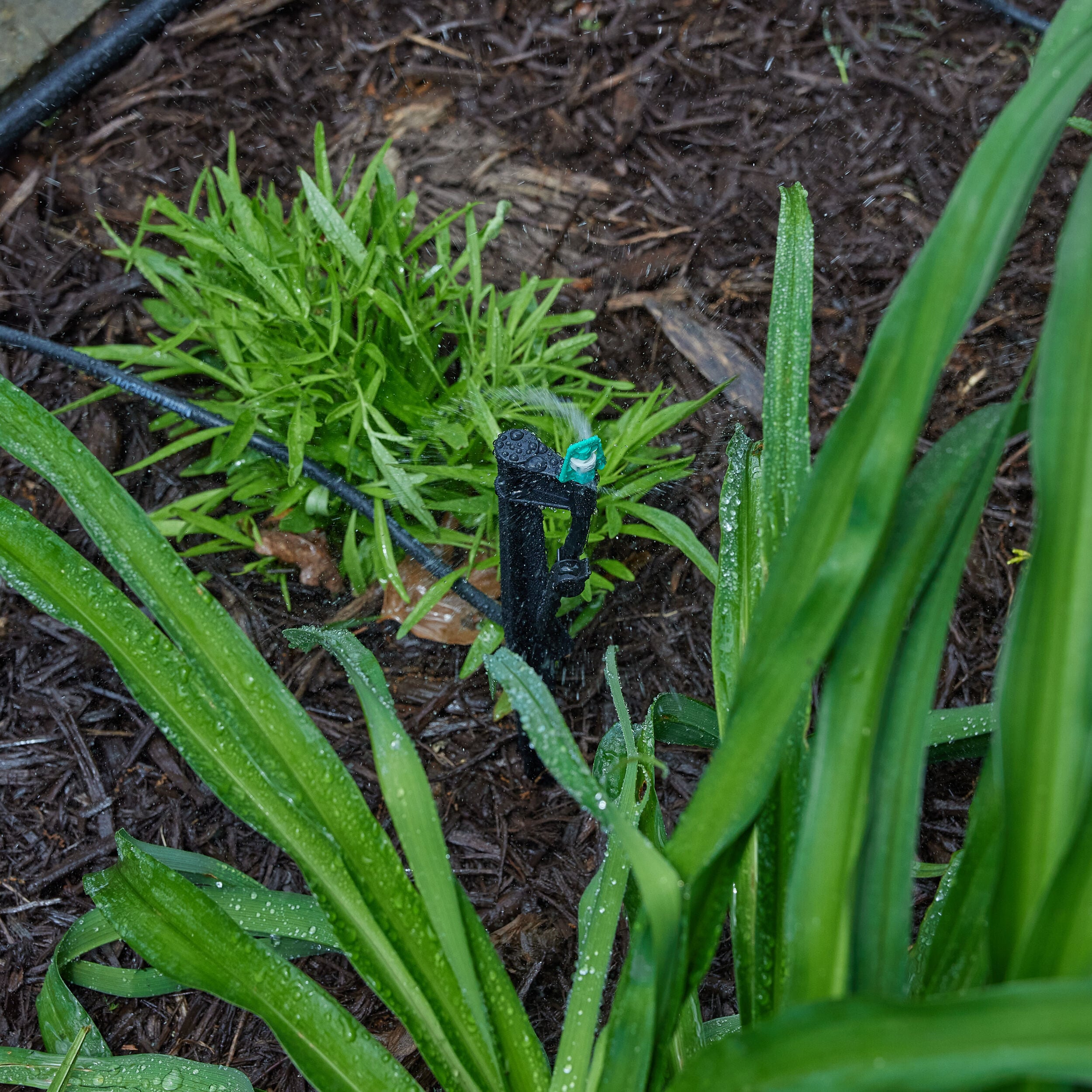 Mister Landscaper MLM-15 Drip-Irrigation-Water-Emitters - View #9