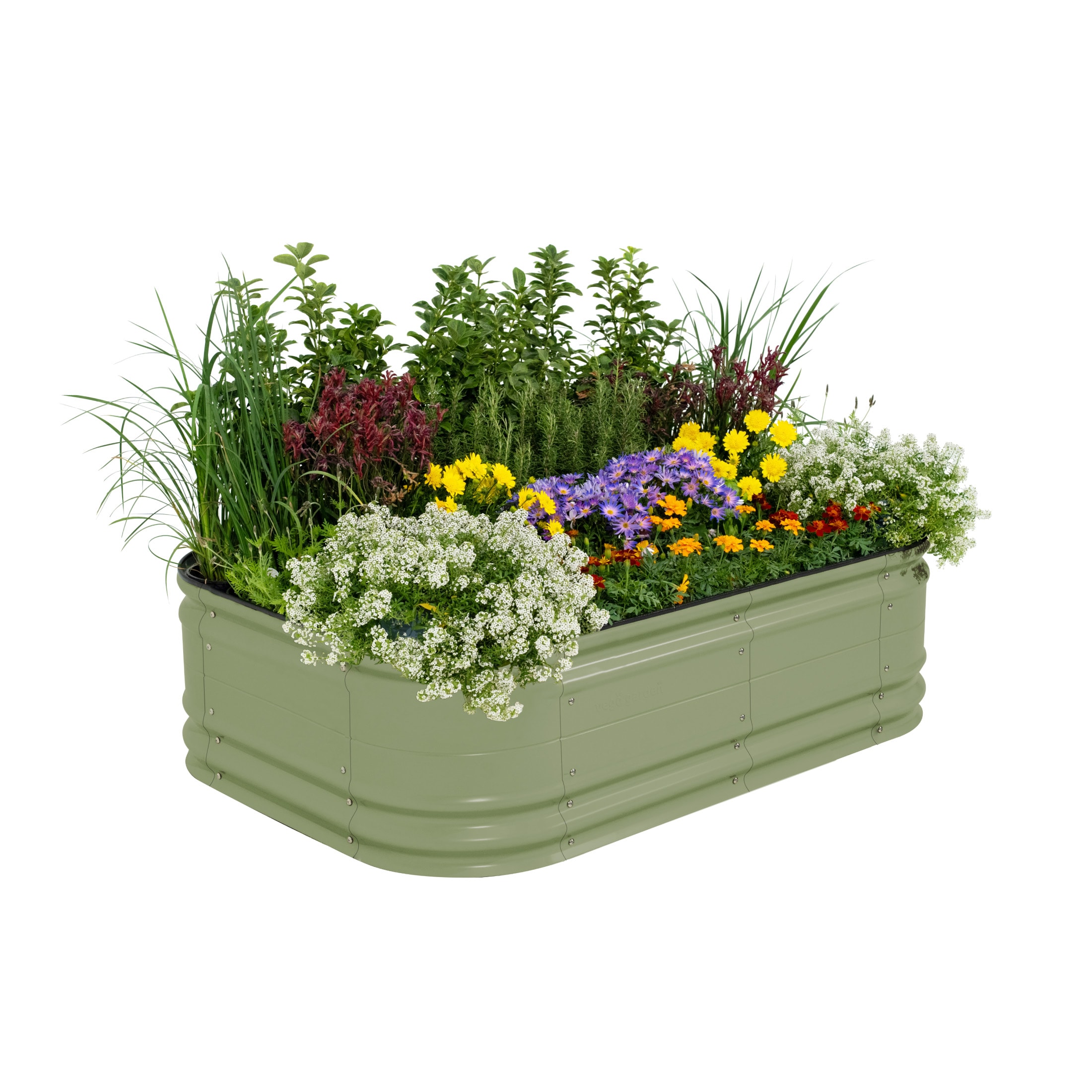 Vego Garden VB6N117GG2 25-cu ft 42-in W x 60-in L x 17-in H Olive Green Galvanized Metal Raised Garden Bed
