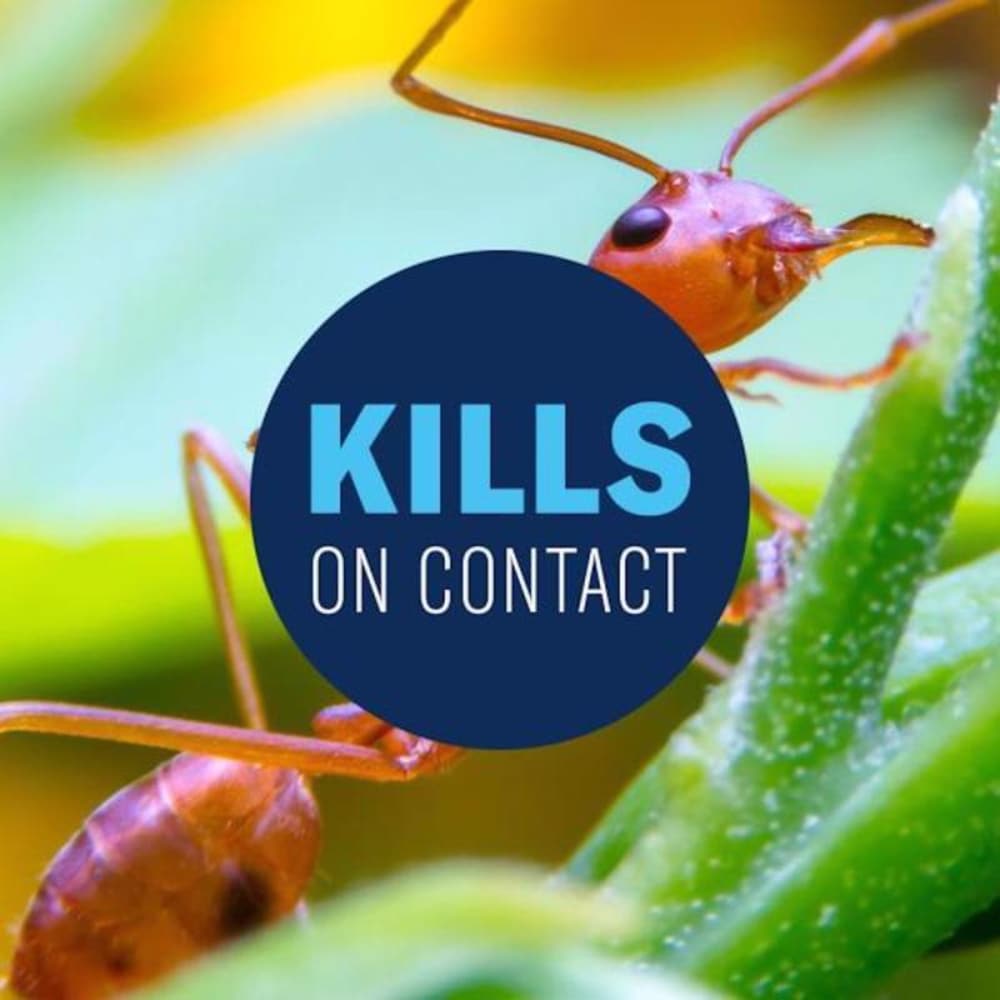BioAdvanced EJD7019412 Insect-Repellent - View #3