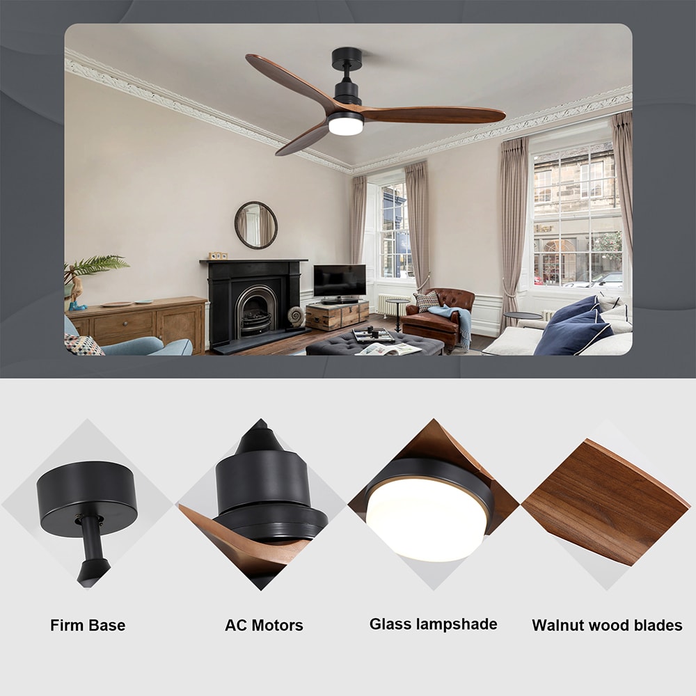 Sunrinx CF-1-DS Ceiling-Fans - View #5