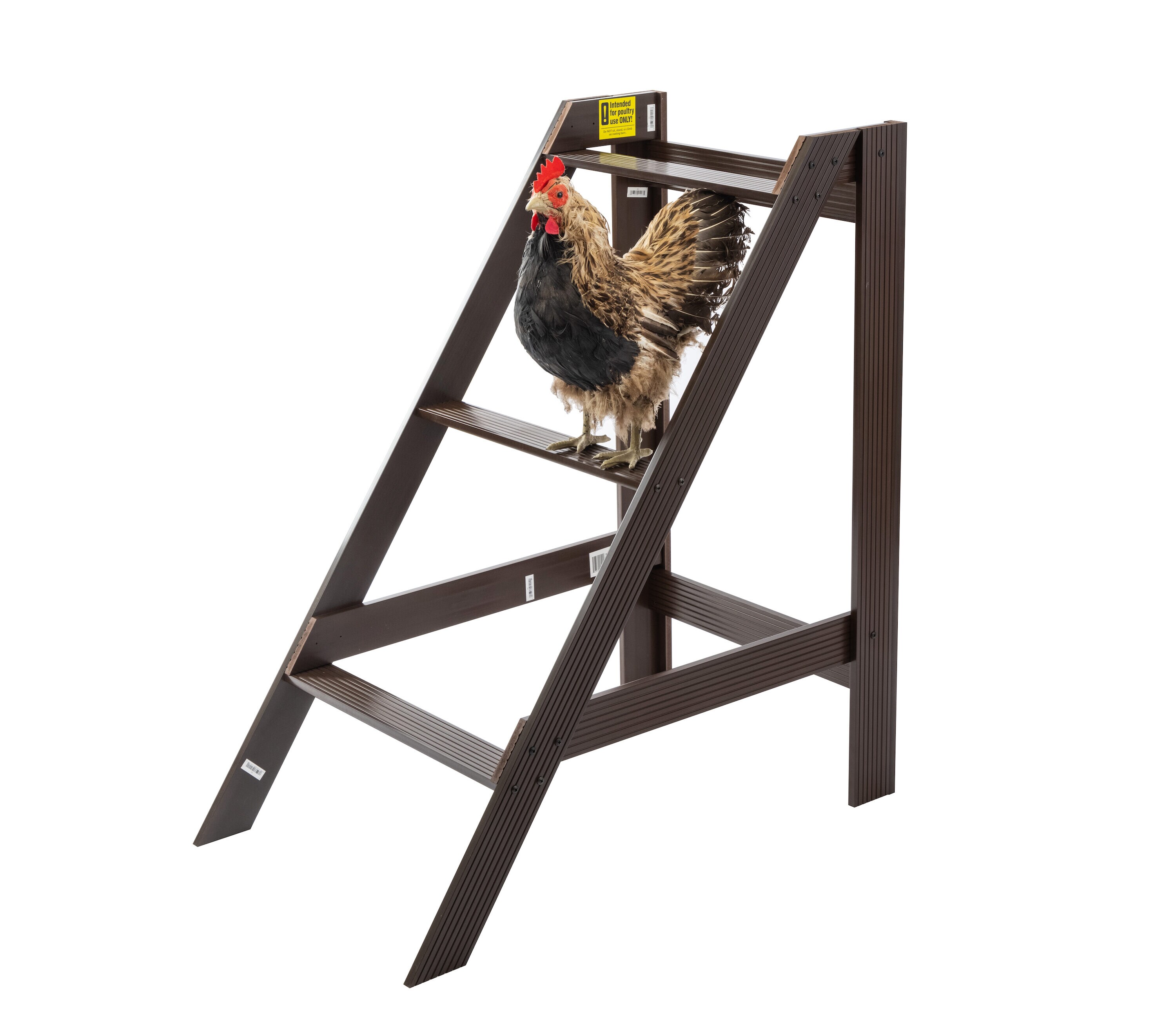 New Age Pet Restful Walnut Roosting Bar - Durable Composite Material - 3-in  Wide Surface - Available in 2 Sizes - Keep Your Chickens' Feet Warm &  Healthy in the Chicken Coops