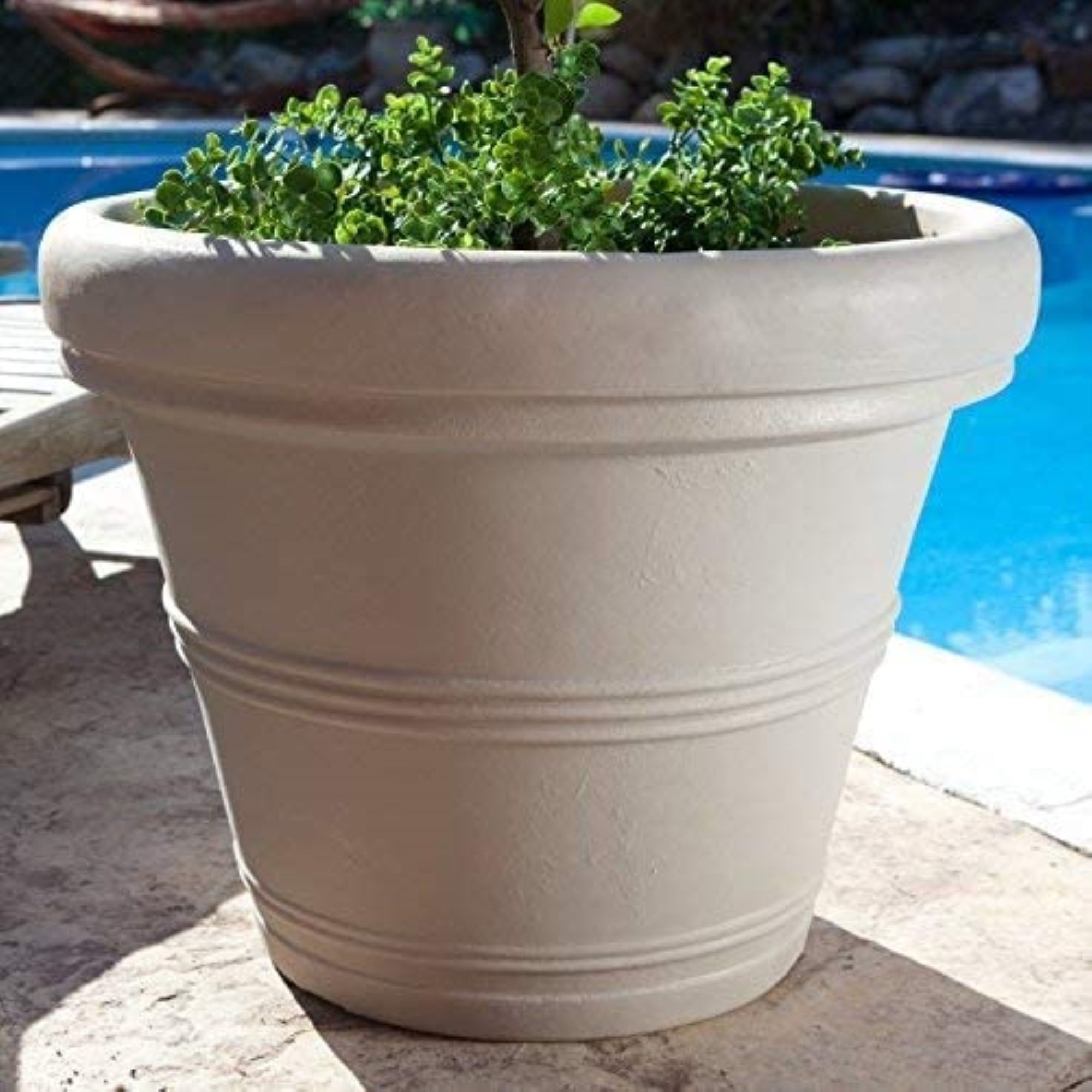 Crescent Garden 645667139283 Planter-Window-Box - View #5