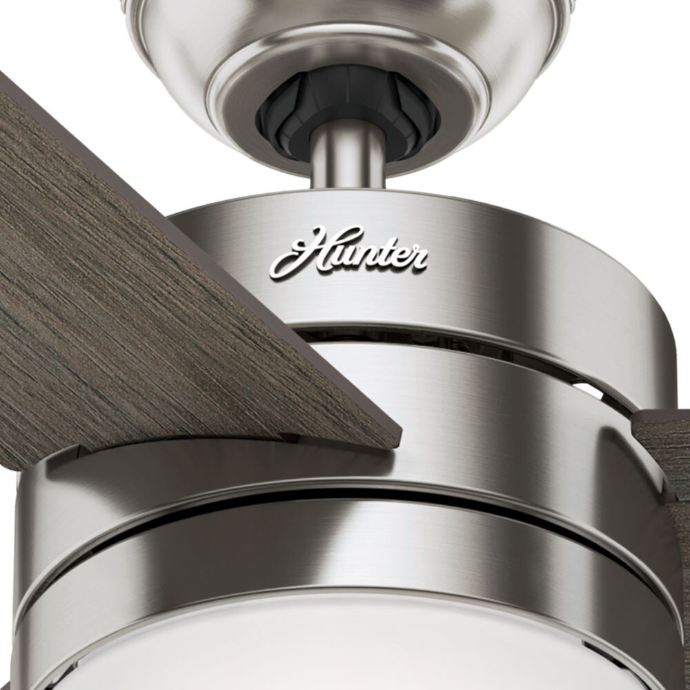 Hunter 59161 Ceiling-Fans - View #7
