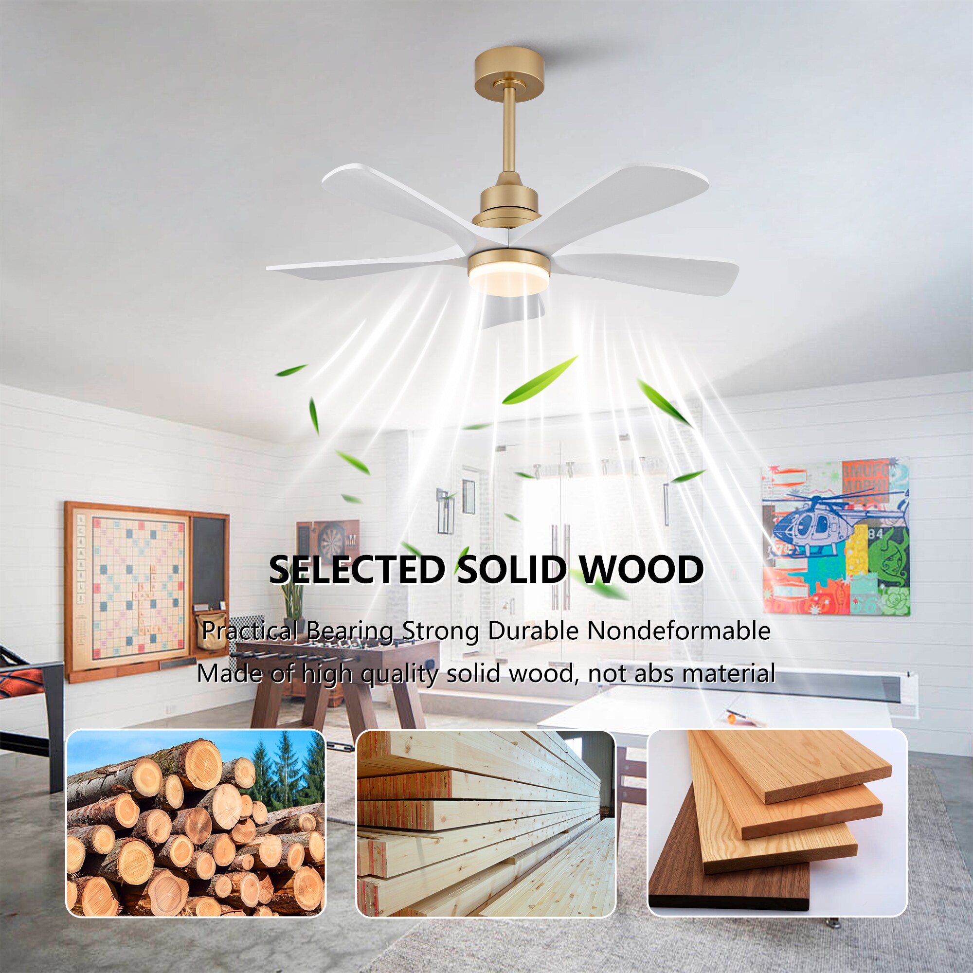 Sunrinx MG14-CF-03 Ceiling-Fans - View #11