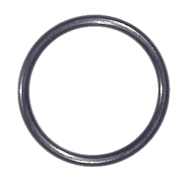 Danco 10-Pack 13/16-in x 1/16-in Rubber Faucet O-Ring in the Faucet O-Rings  department at