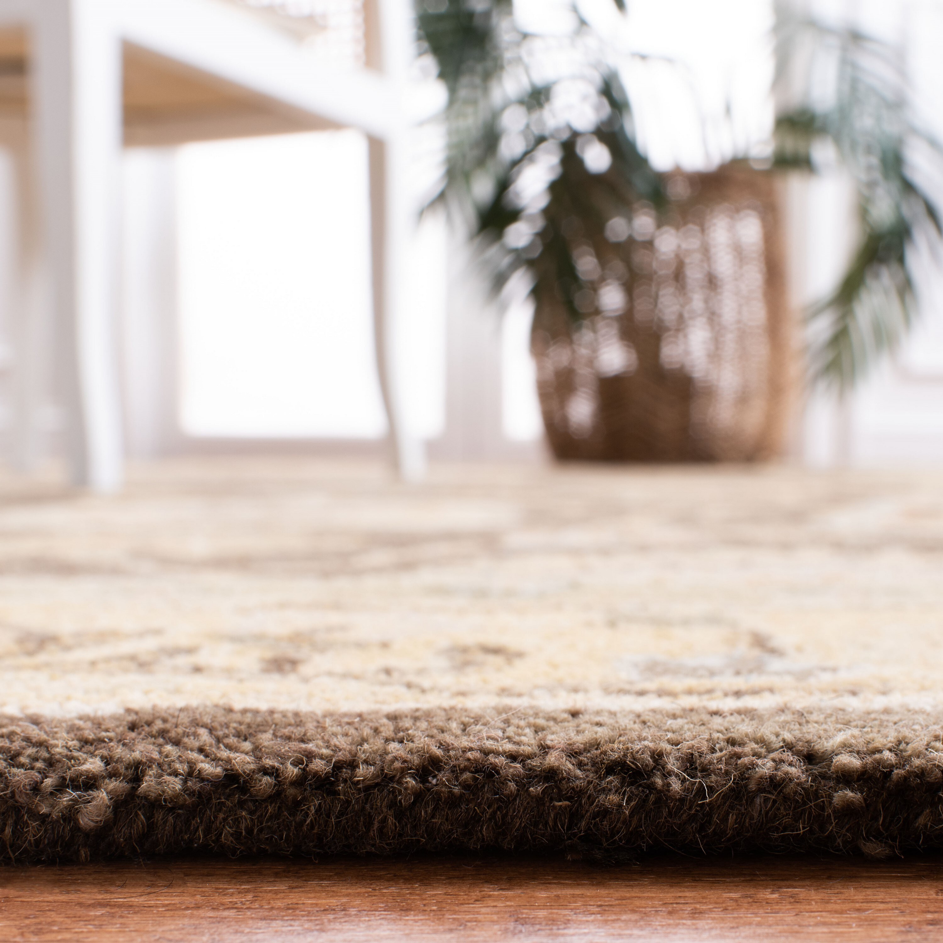 Safavieh AN556C-3 rugs - View #4