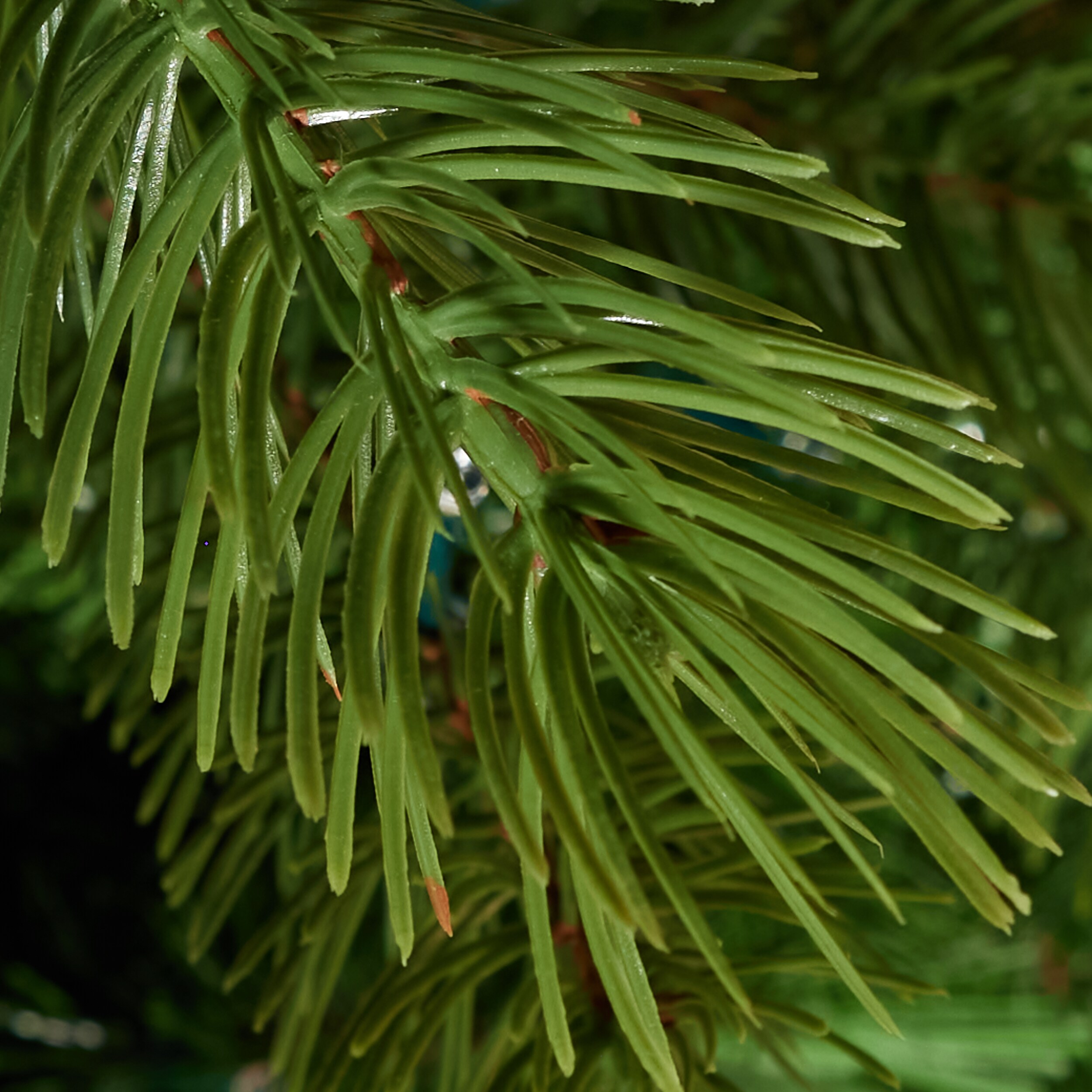 GE 9ft Scotch Pine Prelit Artificial Christmas Tree with Color