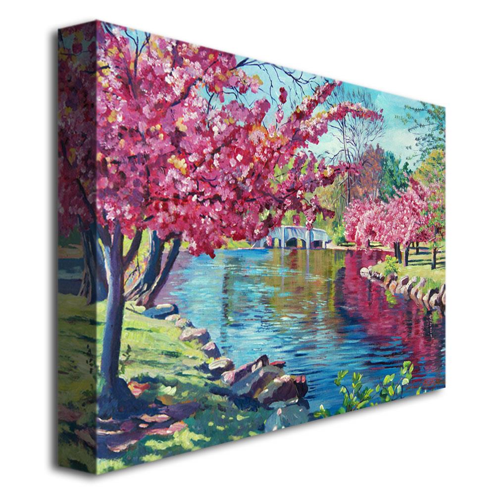 Trademark Fine Art Framed 35-in H x 47-in W Landscape Print on Canvas ...