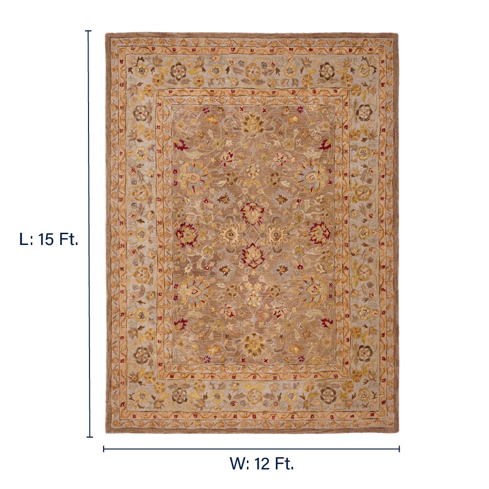Safavieh AN522B-1215 rugs - View #2