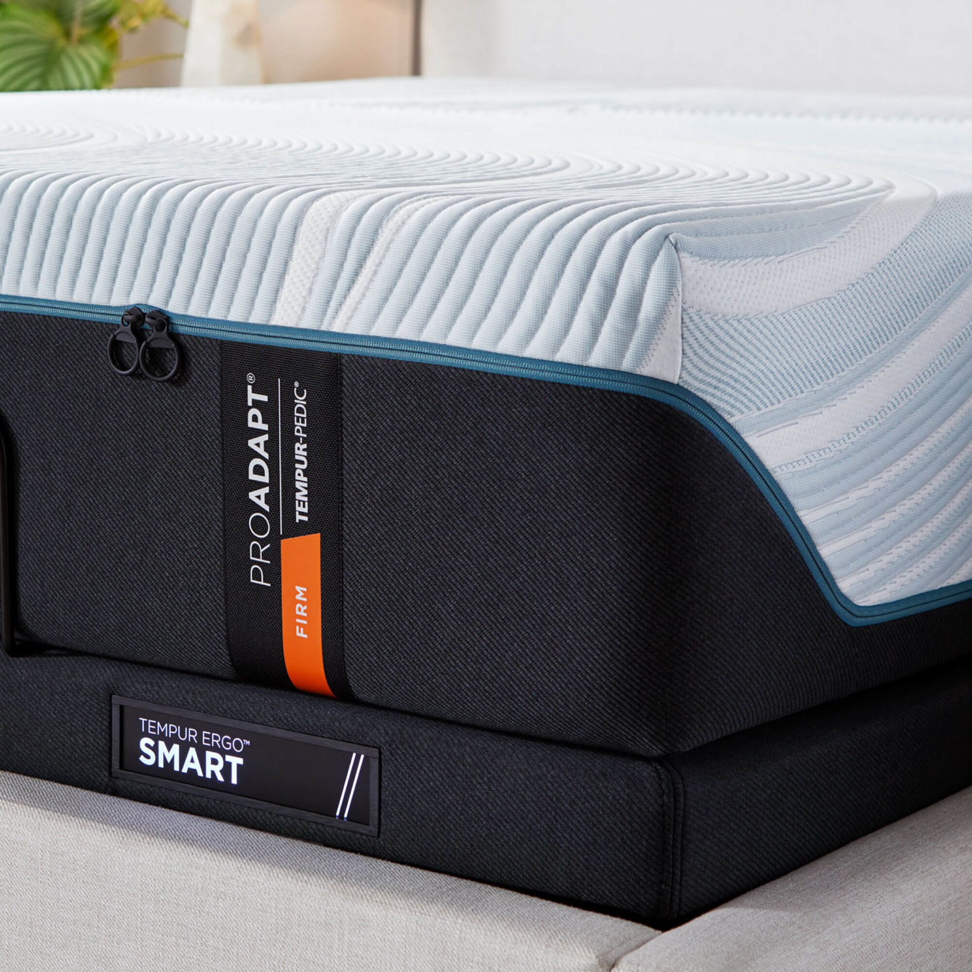 TEMPUR-PEDIC 10747131 Mattresses-Boxsprings - View #10
