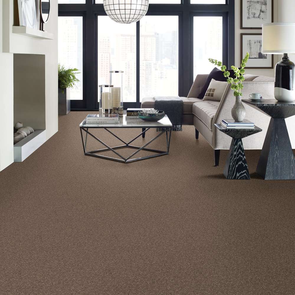 STAINMASTER 7L790-724-SAMP Carpet-Samples - View #3