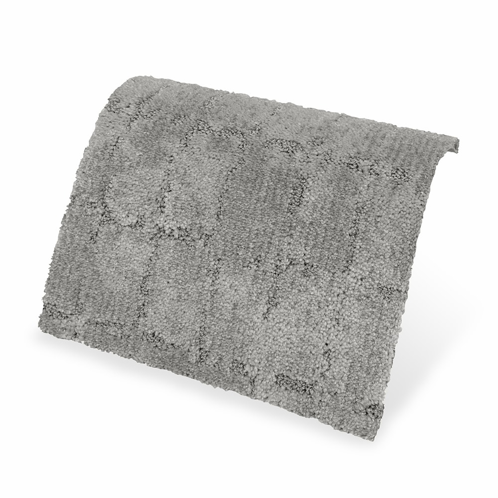 STAINMASTER STP64-L011-0808 Carpet-Samples - View #4