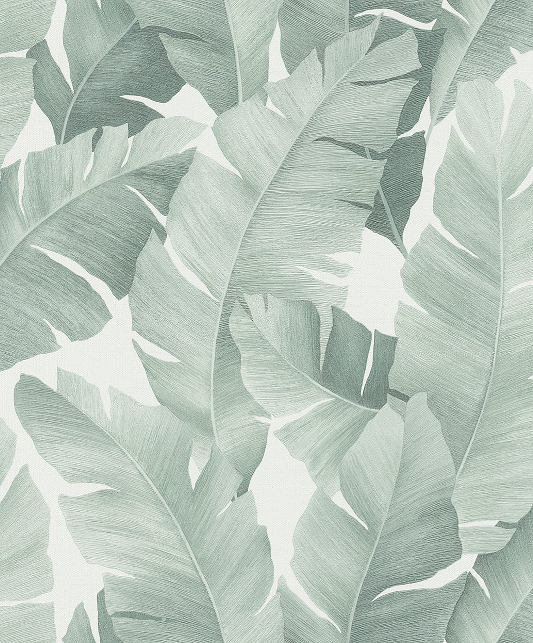 Aesthetic Leaves Wallpaper by kitdominic12 on DeviantArt