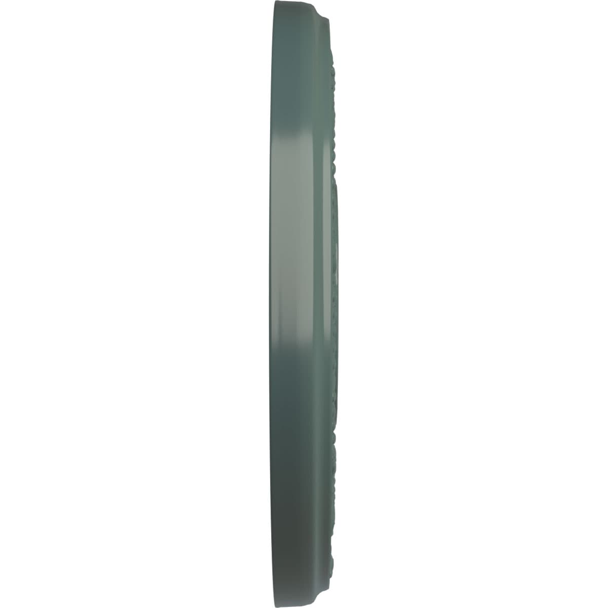 Ekena Millwork CM12NACBF Ceiling-Medallions - View #3