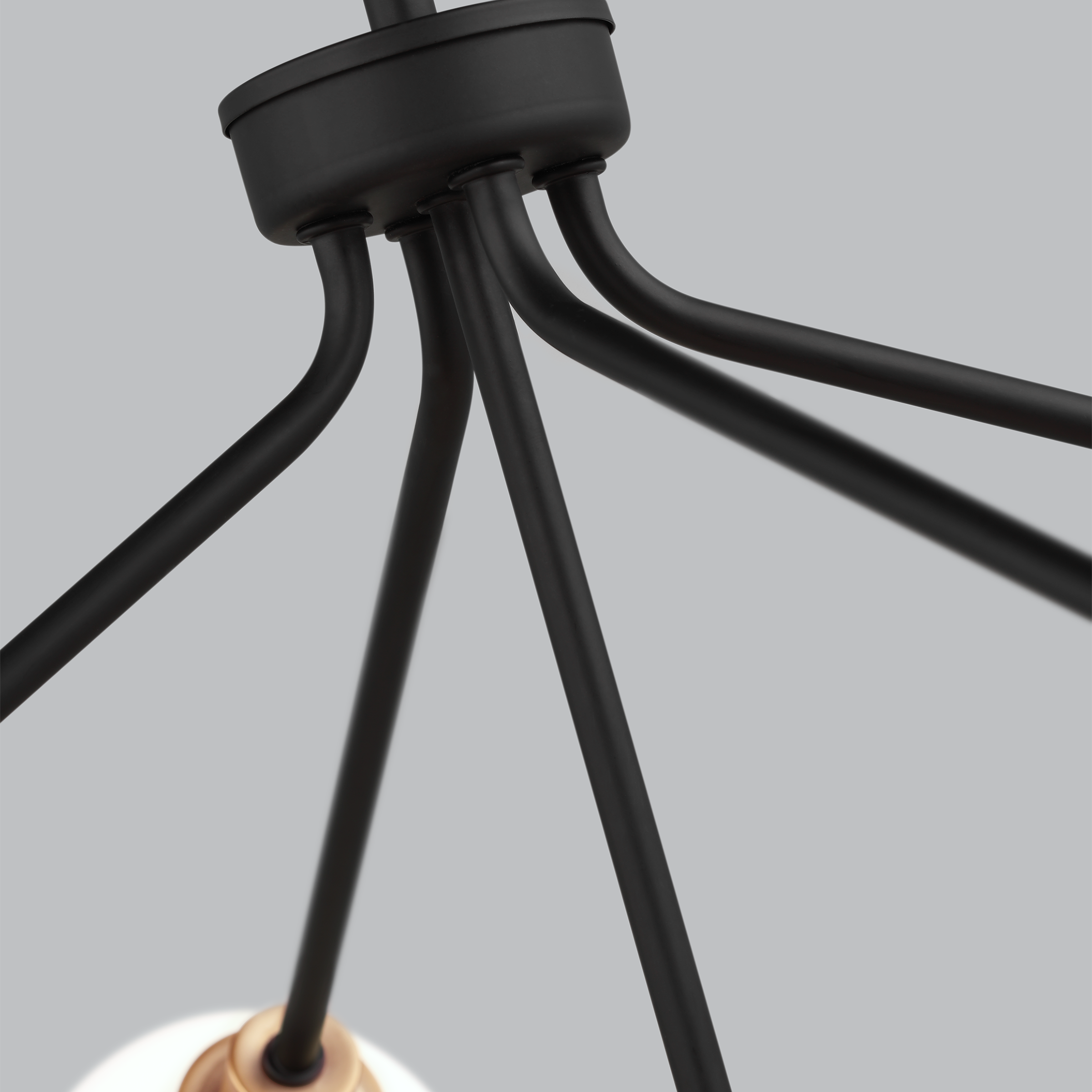 Andrea 5-Light Black and Brass Sputnik Chandelier with Frosted Glass Shades