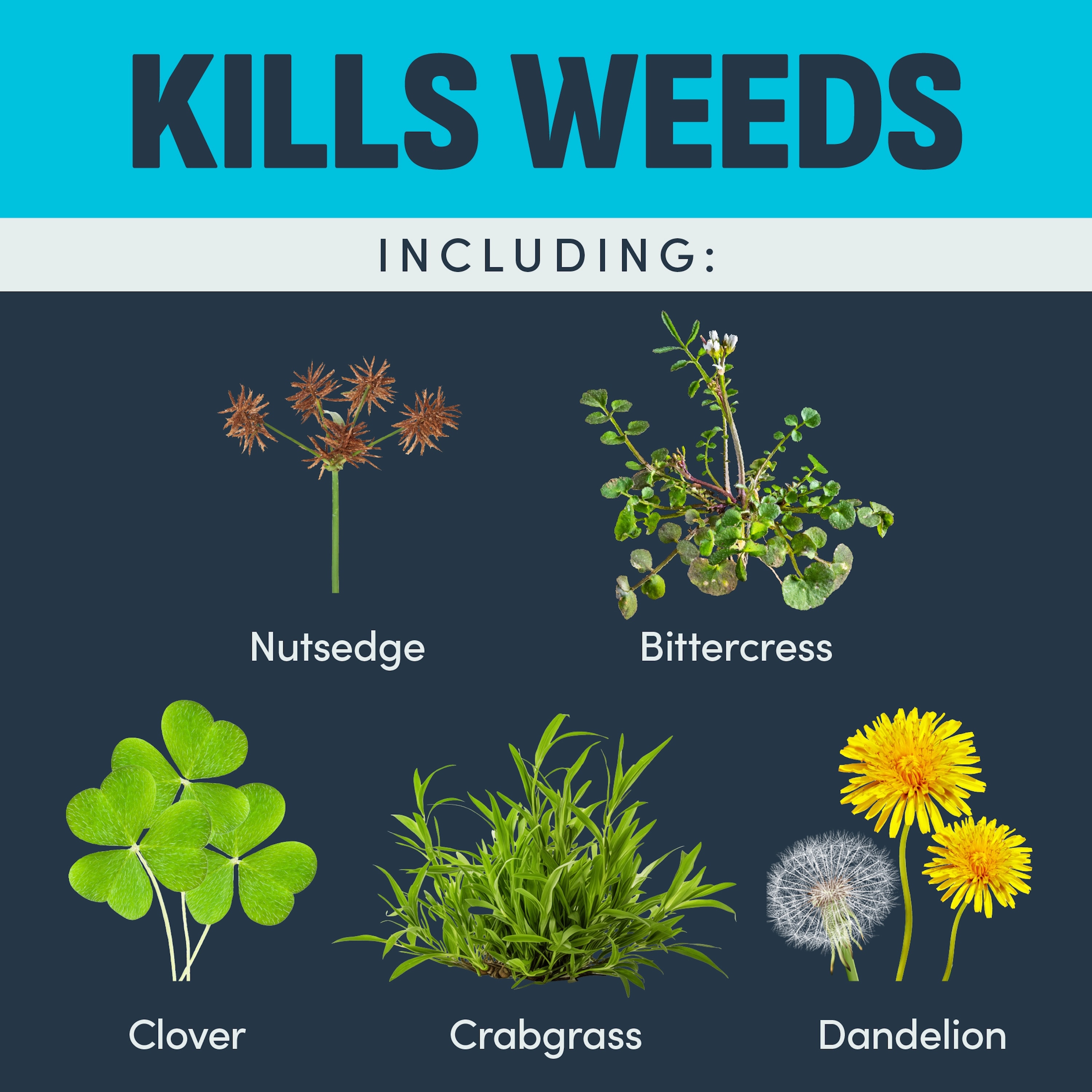 IMAGE 1357600690 Weed-Killers - View #7