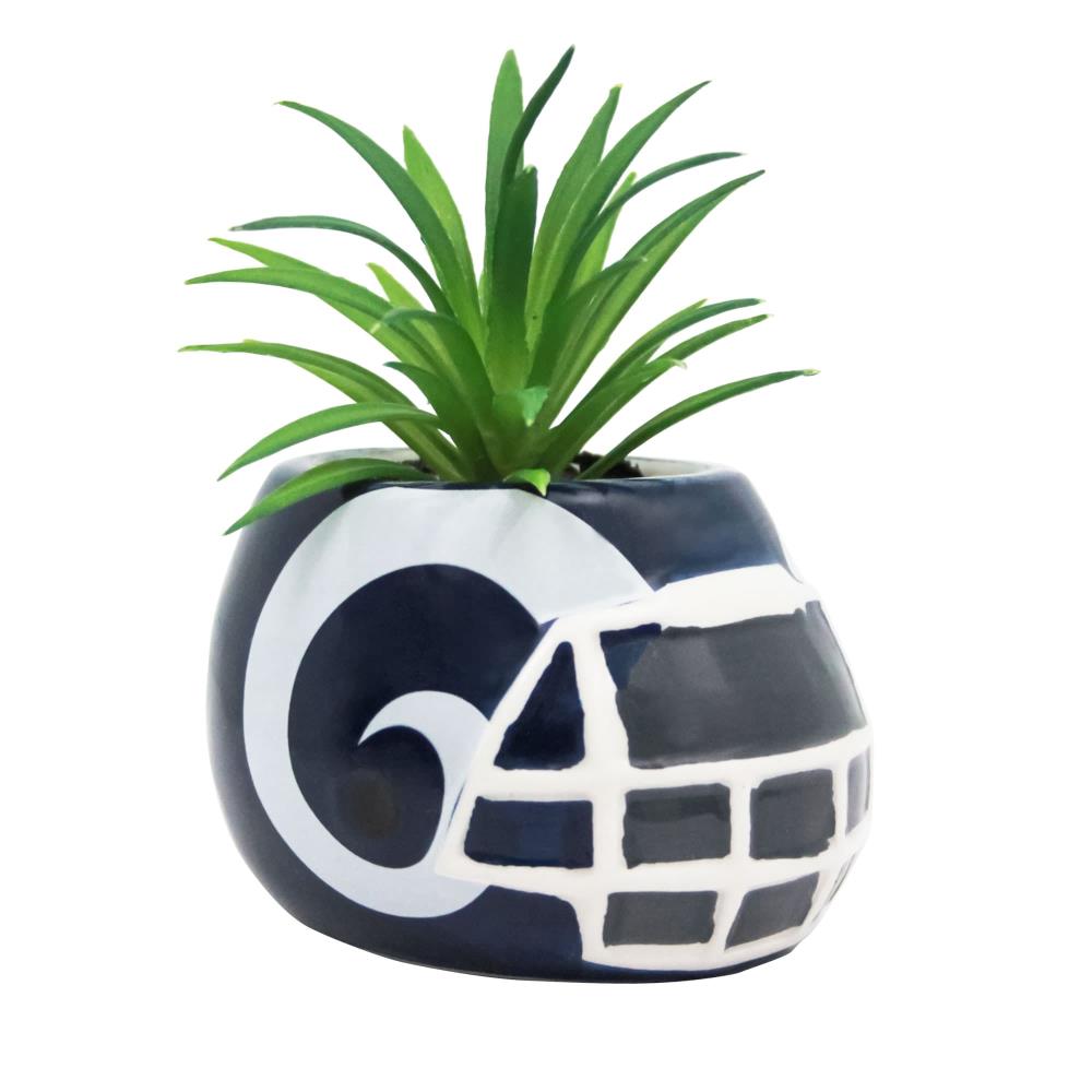 NFL Dallas Cowboys Team Pride Ceramic Flower Pot – Purpose Thrift