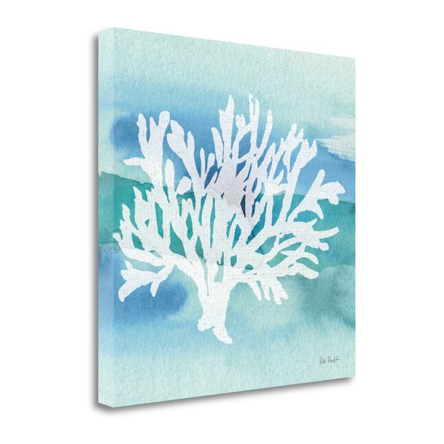 Tangletown Fine Art Sea Life Coral Ii Lisa Audit 20-in H x 20-in W ...