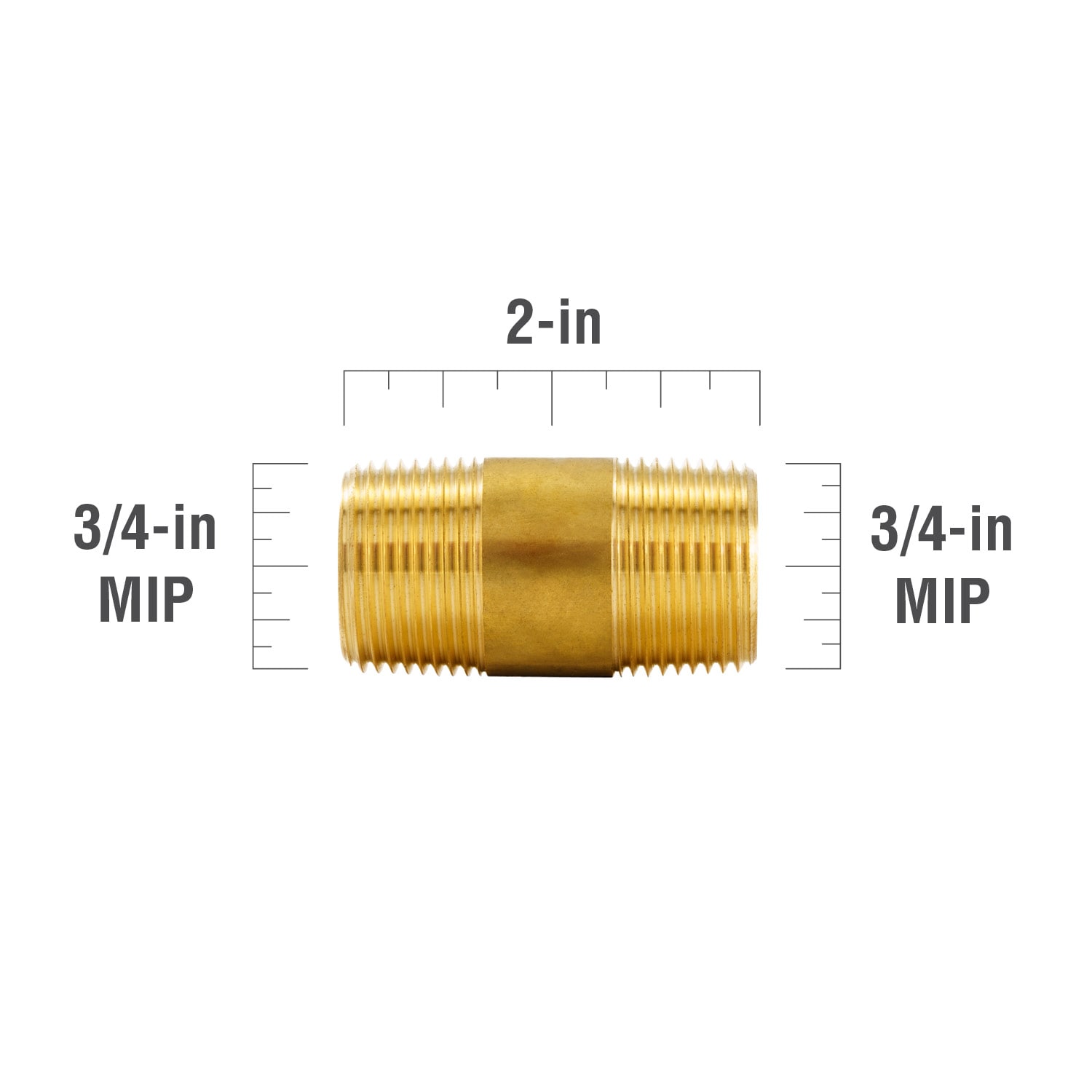 Proline Series 3/4-in x 3/4-in Threaded Male Adapter Nipple