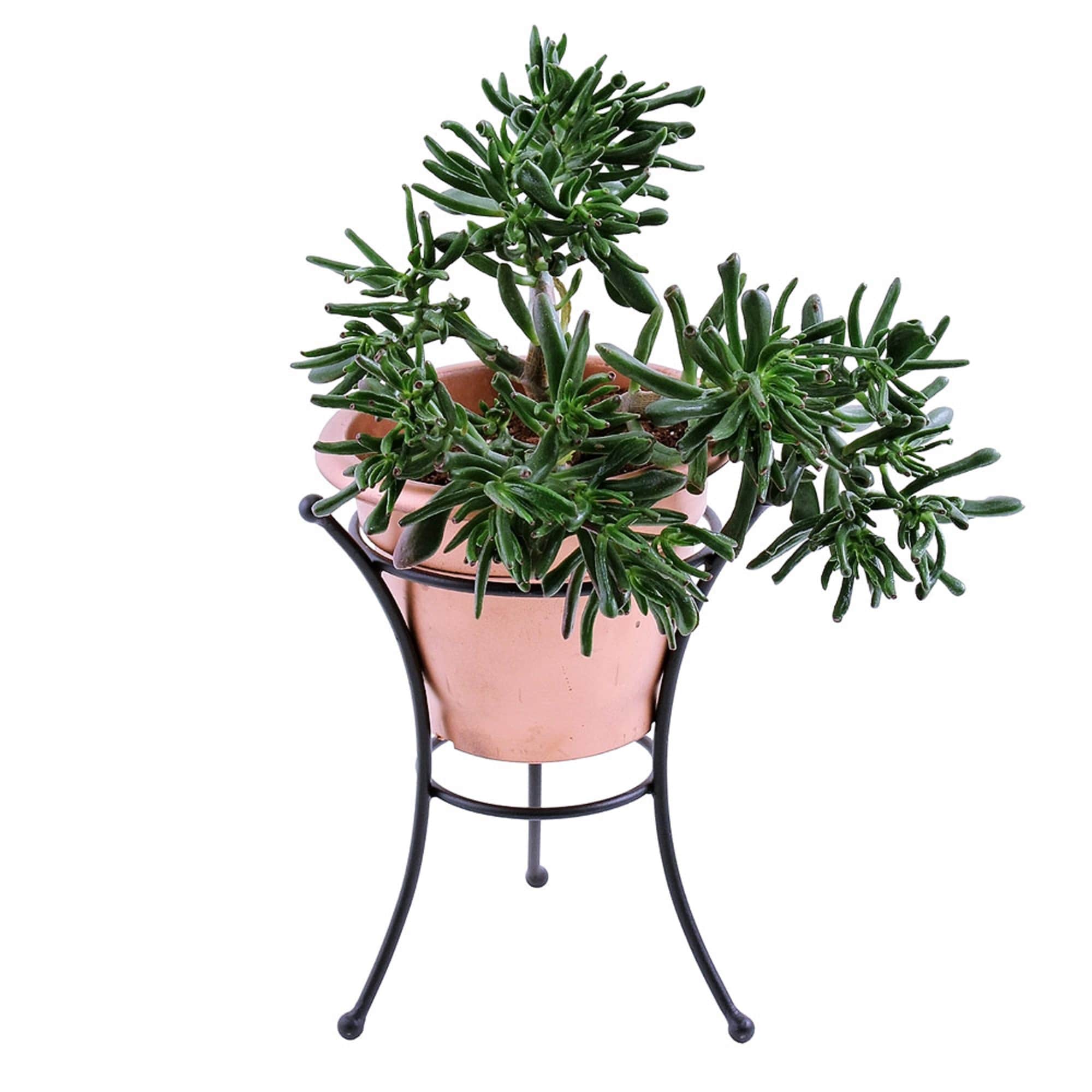 Minuteman International GBS-21 Plant-Stand - View #3