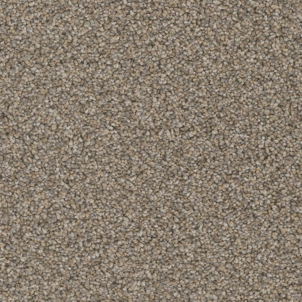 STAINMASTER PetProtect S9055-912-S (Sample) Piedmont Highrise Multi-Colored 55-oz sq yard Nylon Textured Indoor Carpet
