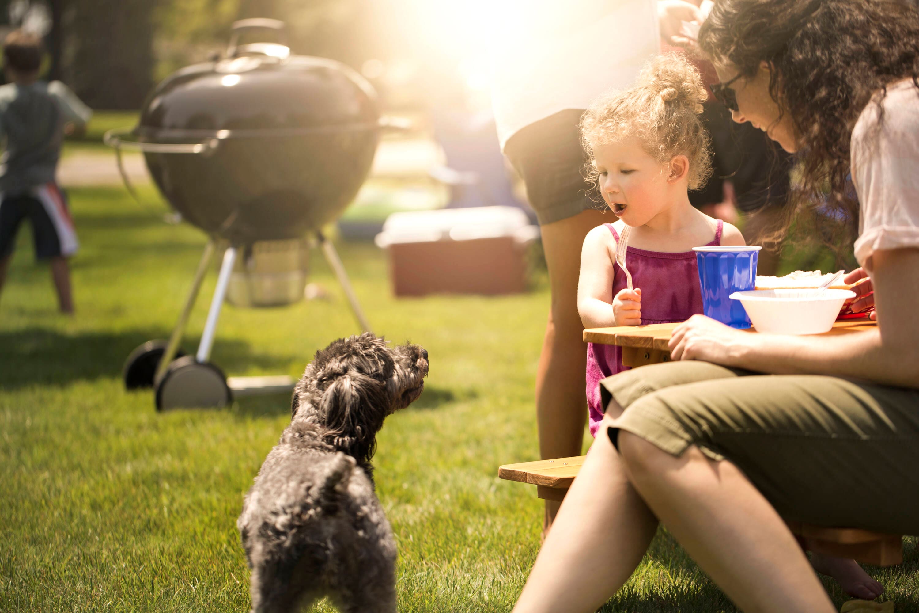 Weber 16401001 Charcoal-Grills - View #16