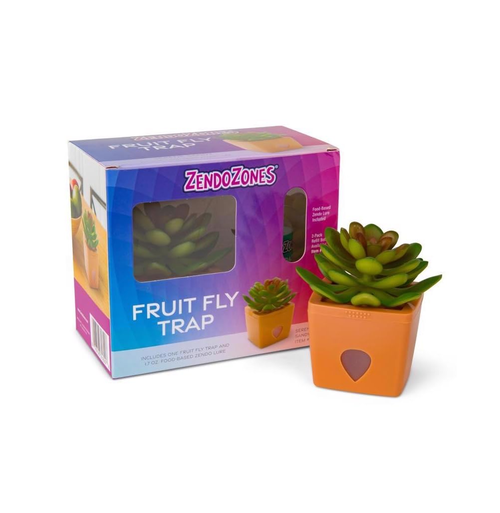 JT Eaton DIB-AW-743337QTY-1 ZendoZones Refillable Fruit Fly Trap with Non-Toxic Lure - Stylish Succulent Design