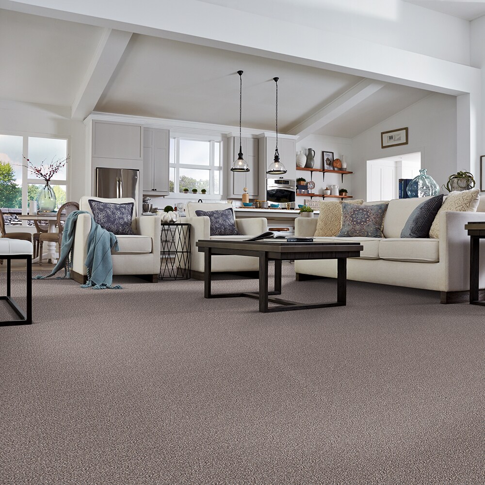 STAINMASTER S9560-712-1200-MO Carpet-Panel - View #5