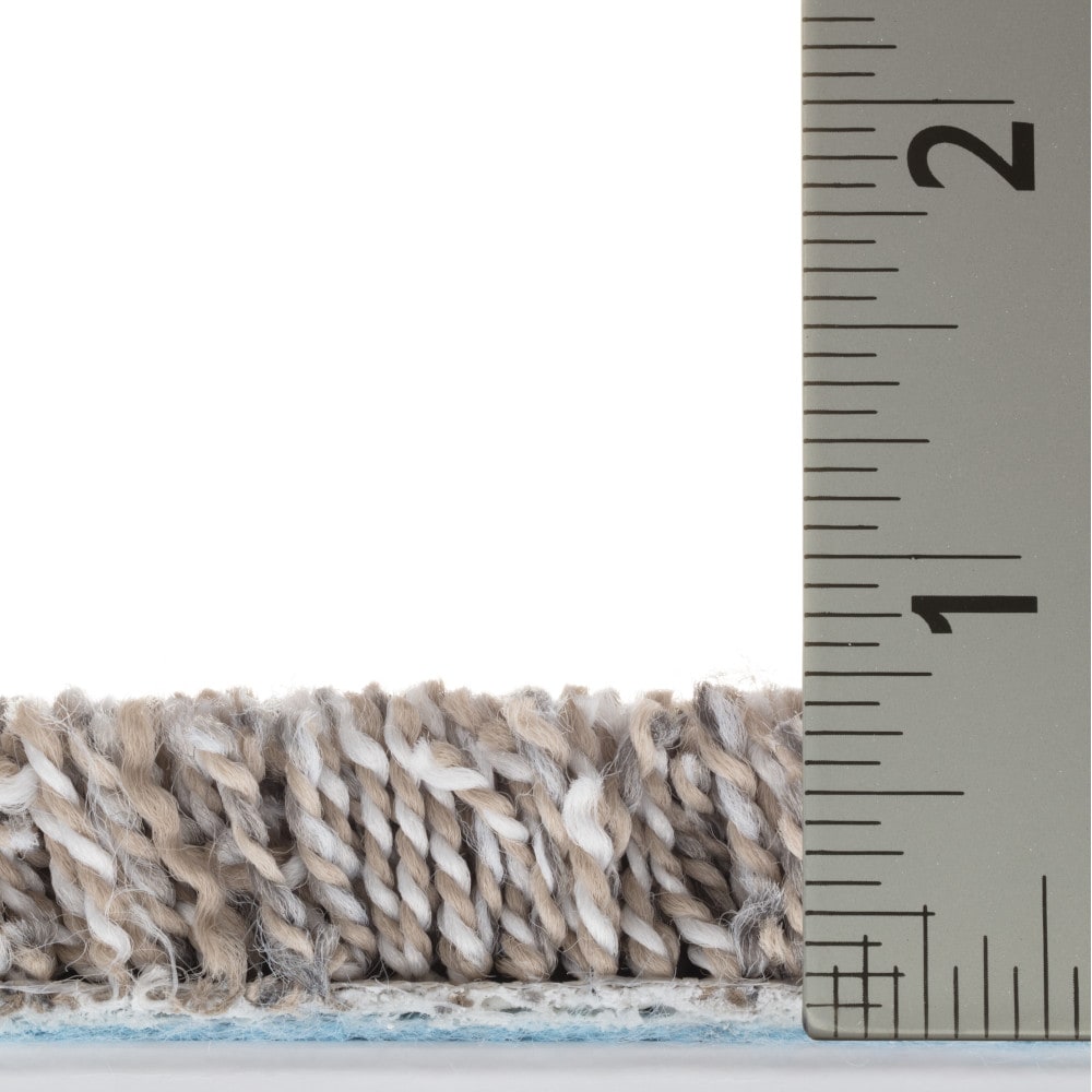 STAINMASTER PetProtect 7L942-148-SAMP Carpet-Samples - View #7