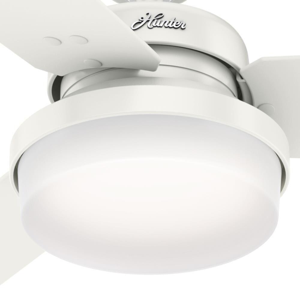 Hunter 59456 Ceiling-Fans - View #7