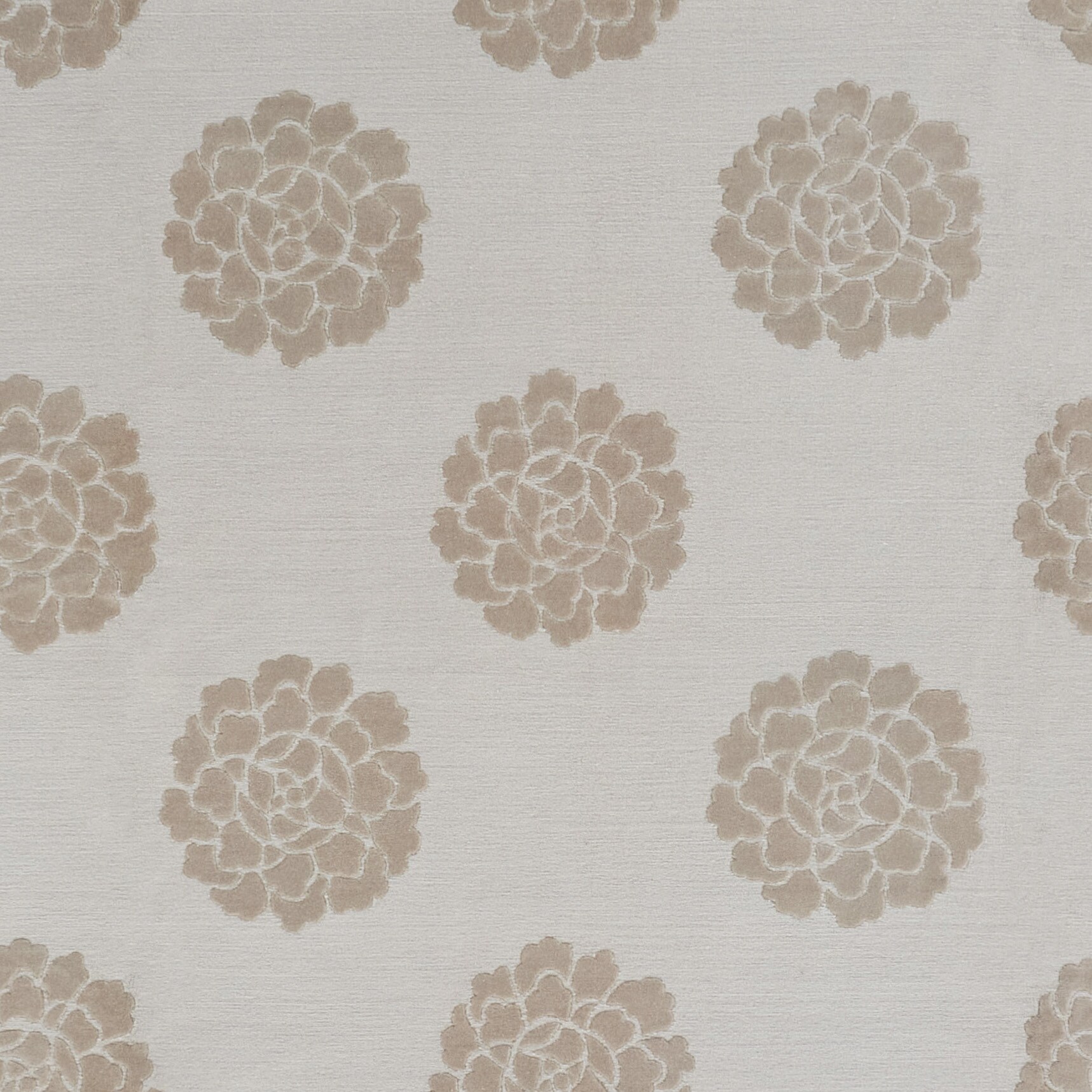 Safavieh MSR5634C-8 rugs - View #3