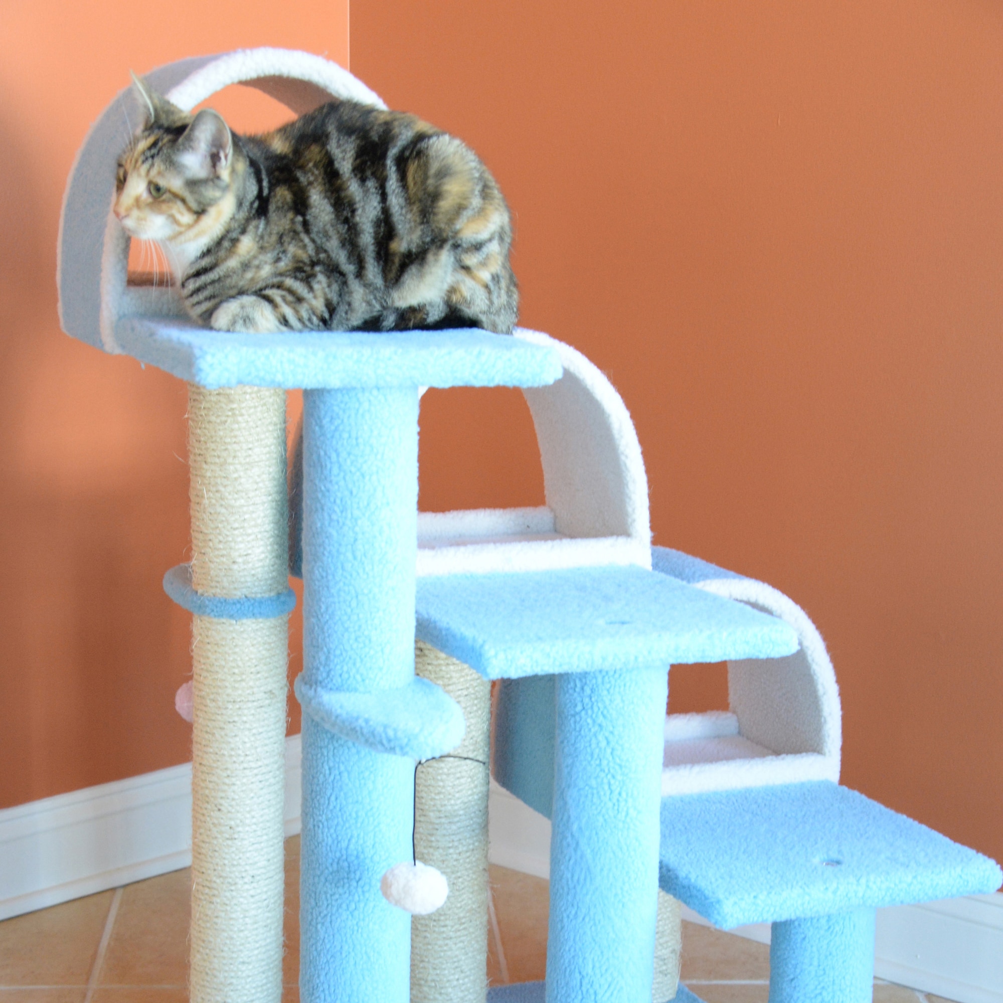 Armarkat B3803 Cat-Trees - View #8