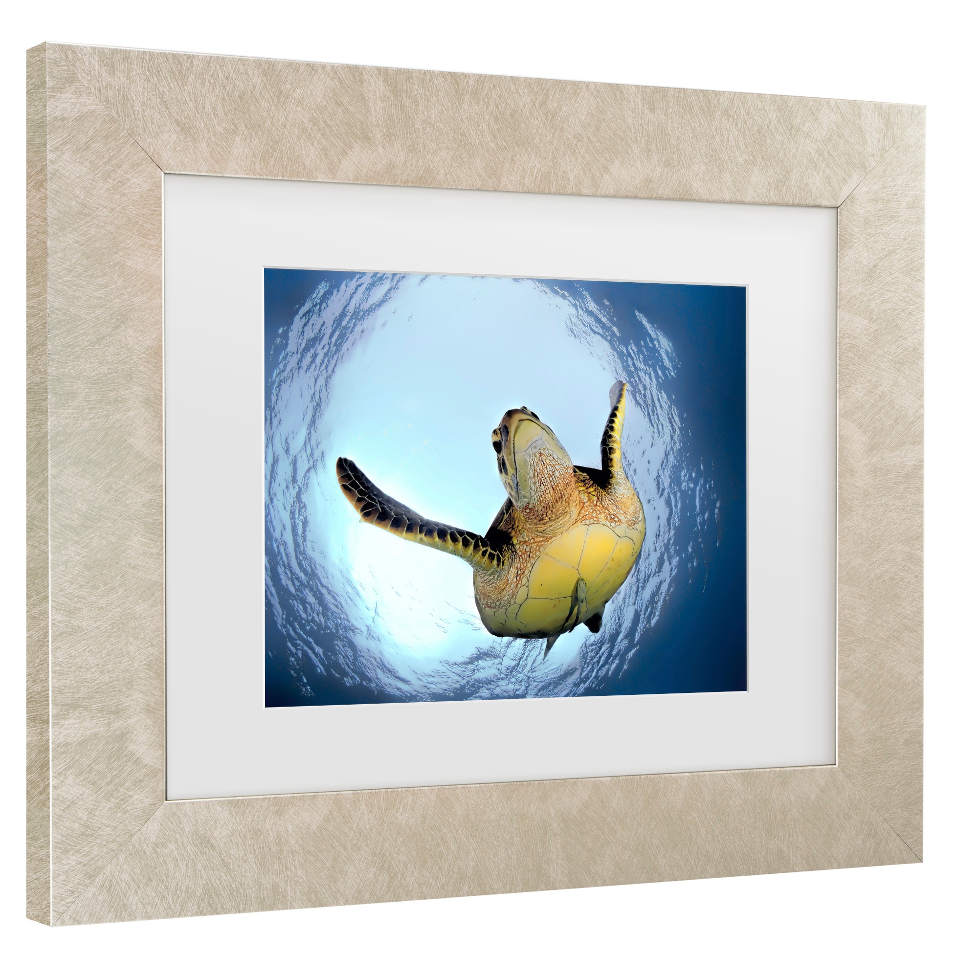 Trademark Fine Art 1X10531-C1620MF Wall-Art - View #3