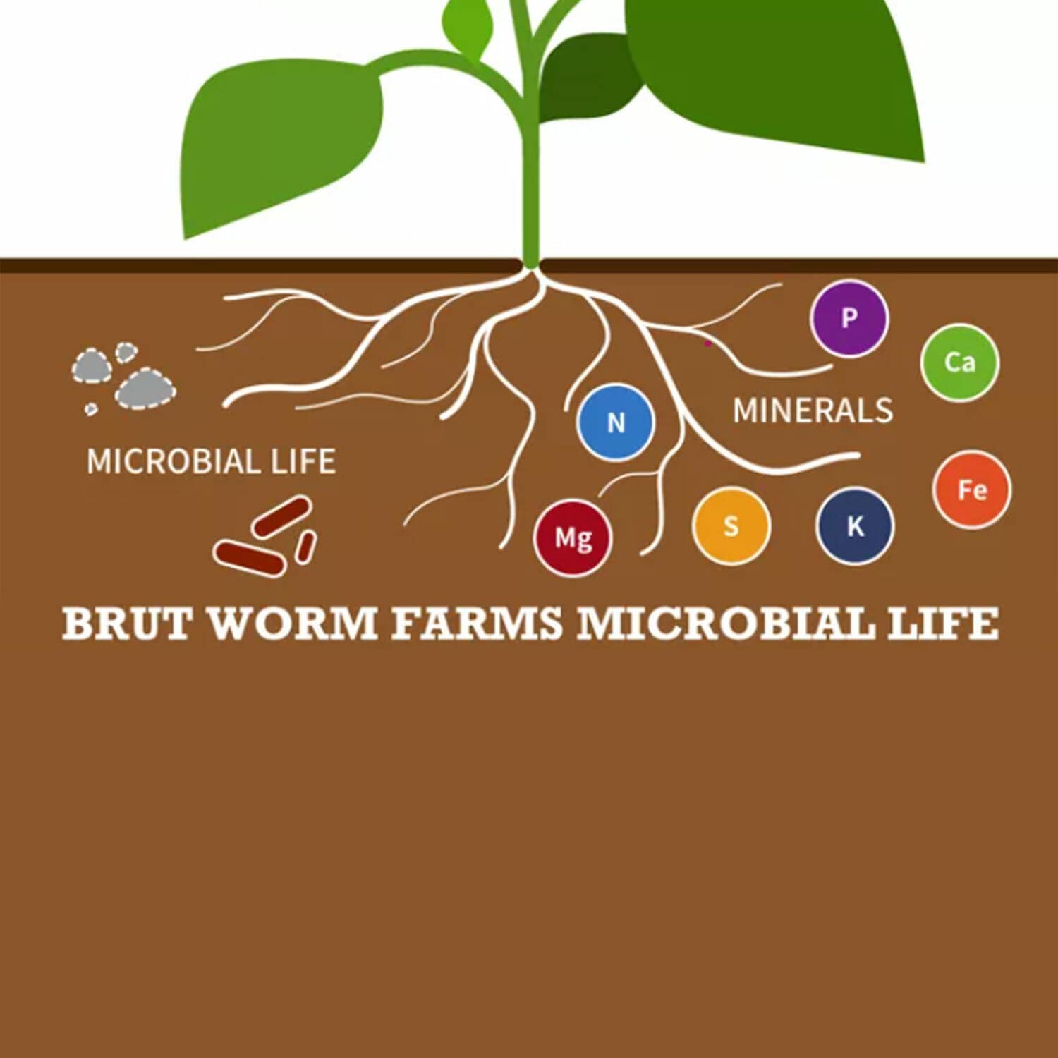 Brut Worm Farms 251501 Garden-Soil-Soil-Amendments - View #5