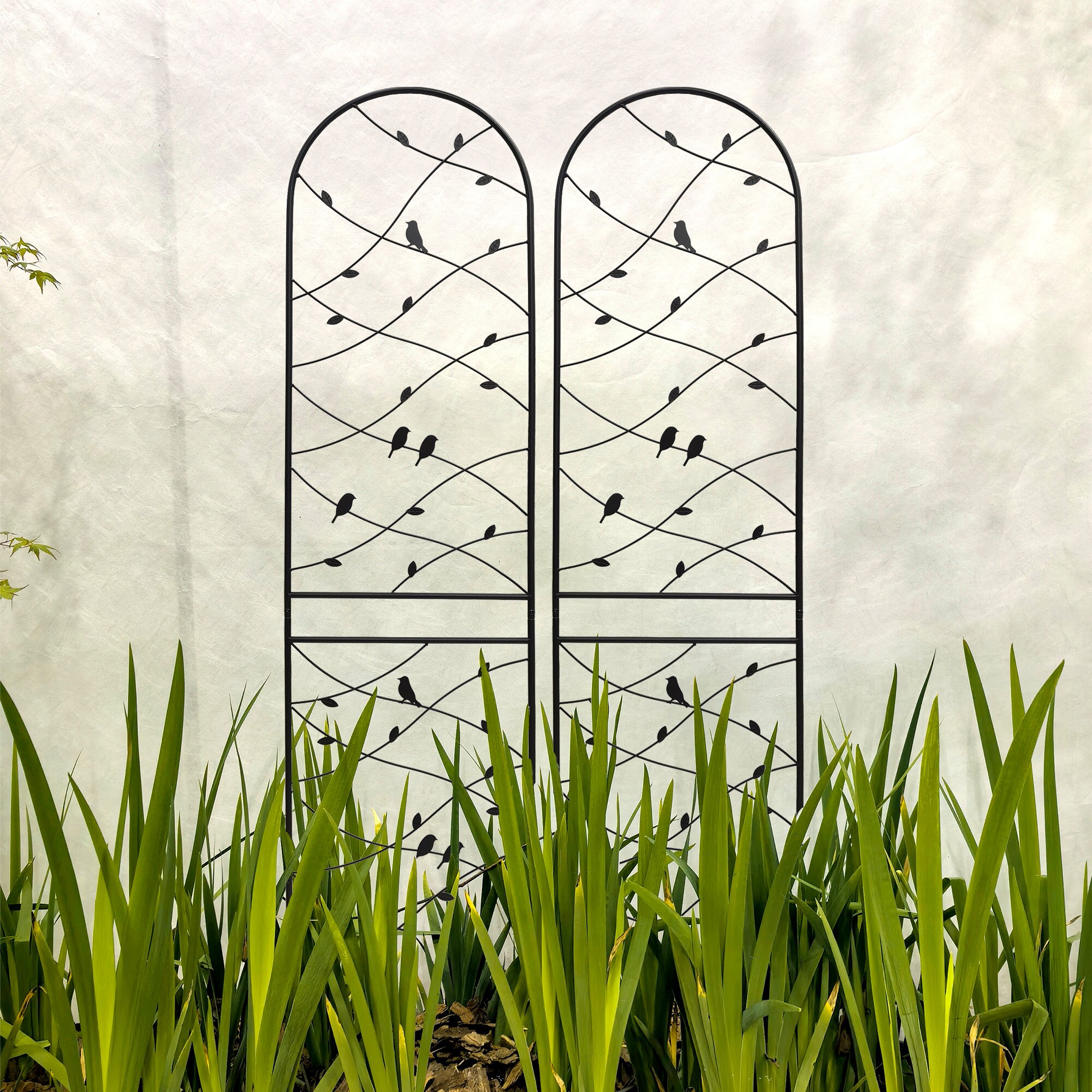 AHIOU HOME ZAAHG-P268066GT Garden-Trellis - View #5