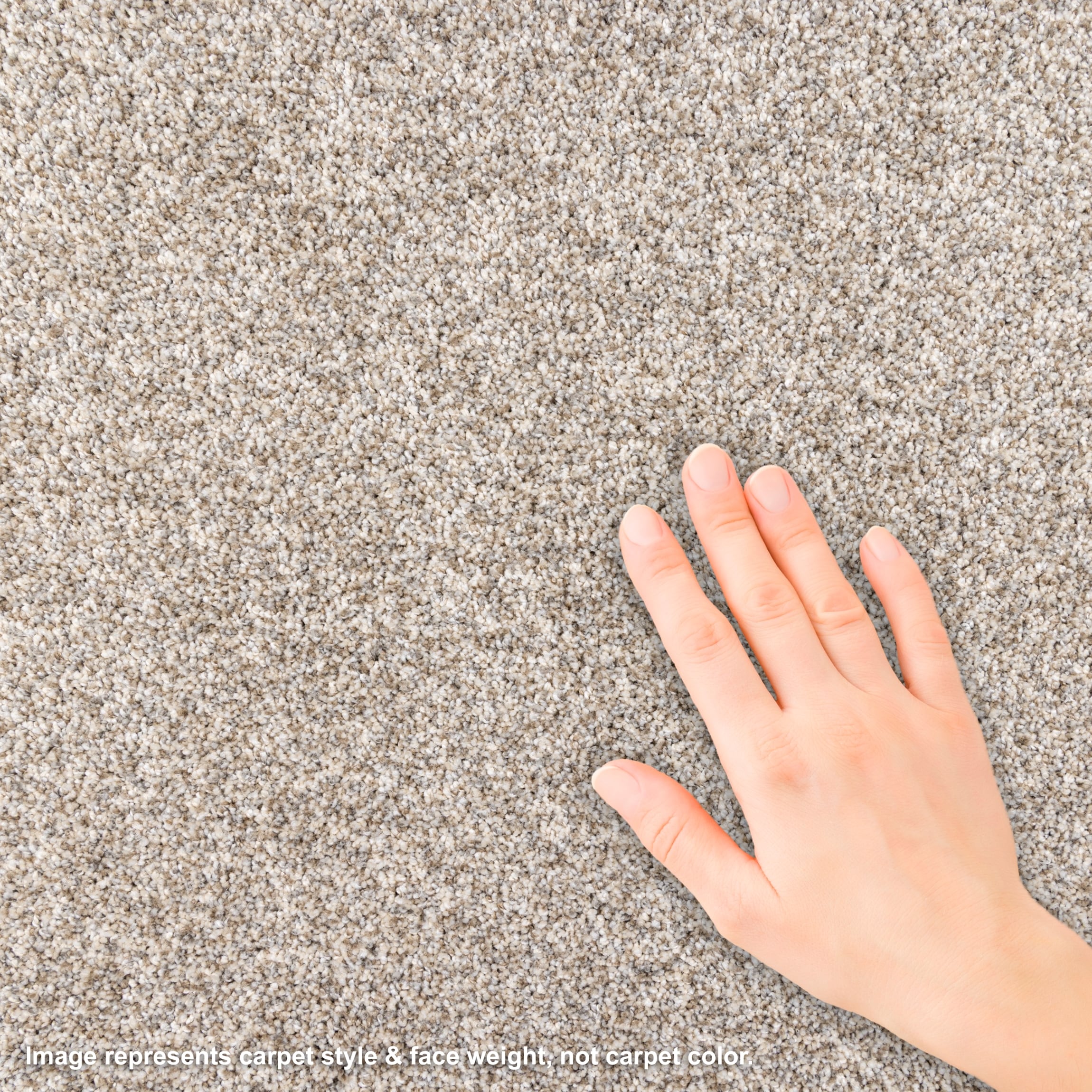 STAINMASTER PetProtect L3015-1304-1200-AB Carpet-Panel - View #3
