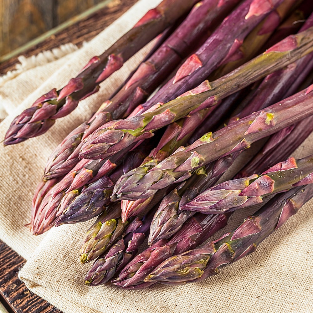 Gurney's Seed and Nursery 62002 Purple Passion Asparagus Jumbo Grd 10 Pack Dormant Plant in Bareroot