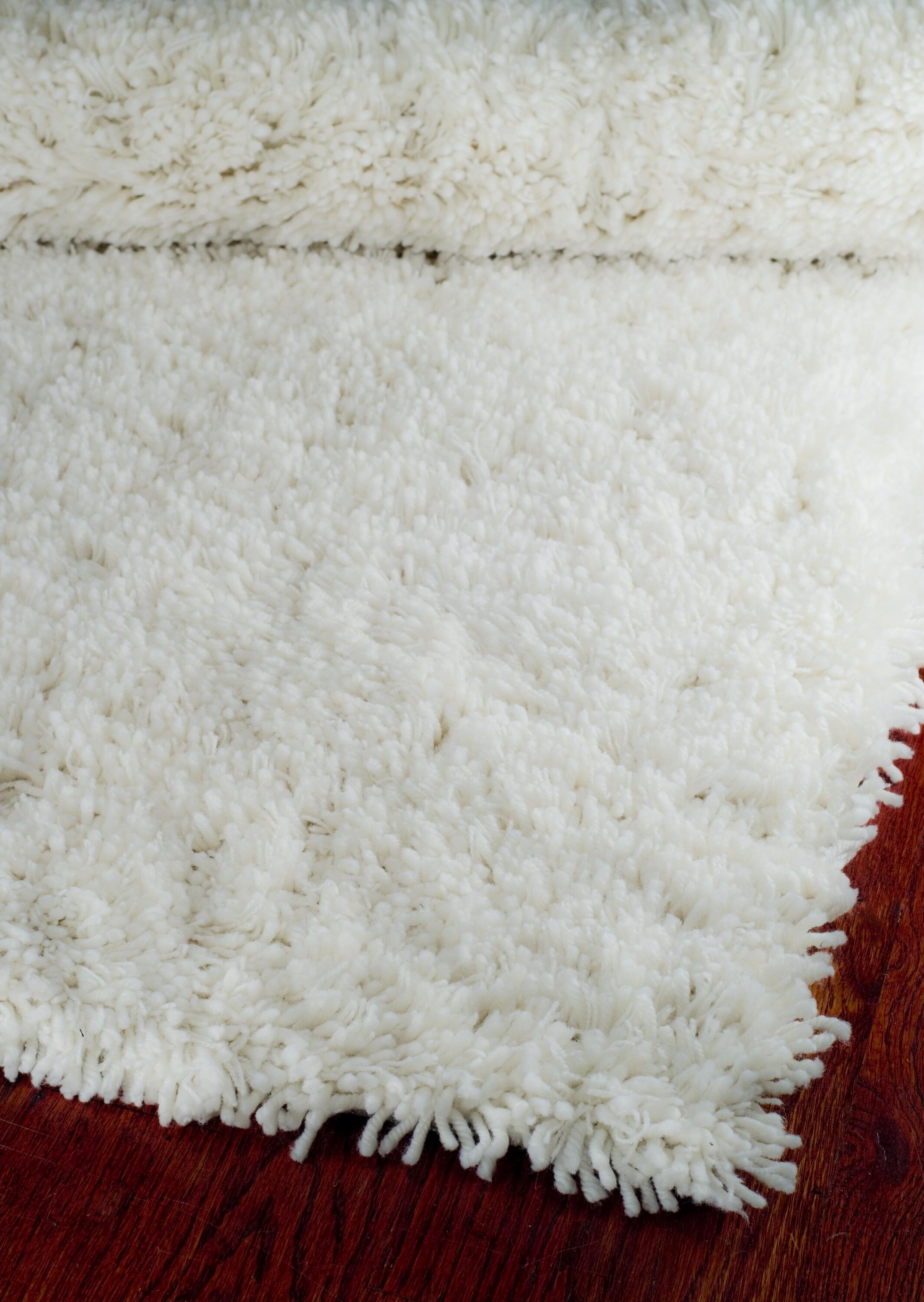Safavieh SG240A-3 rugs - View #4