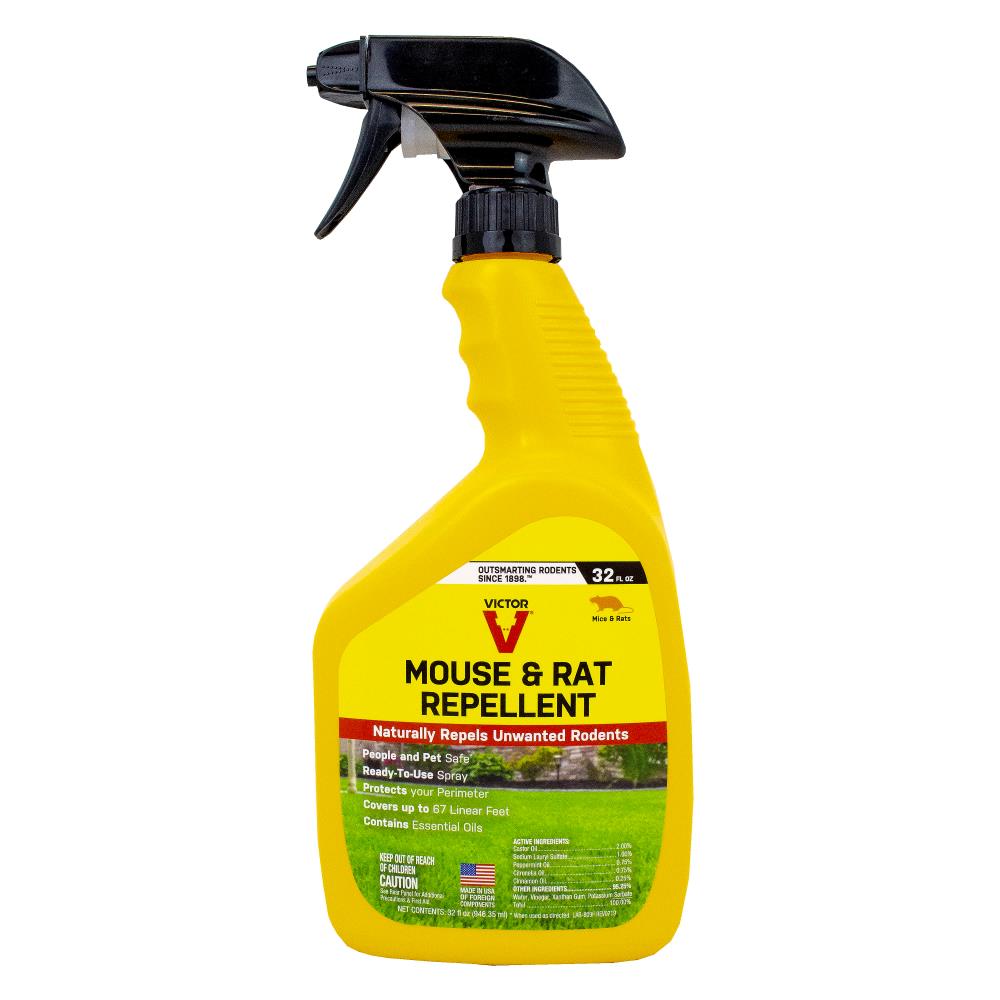 Amazon.com : Victor M308 TIN CAT Clear Top Mouse Rat Trap