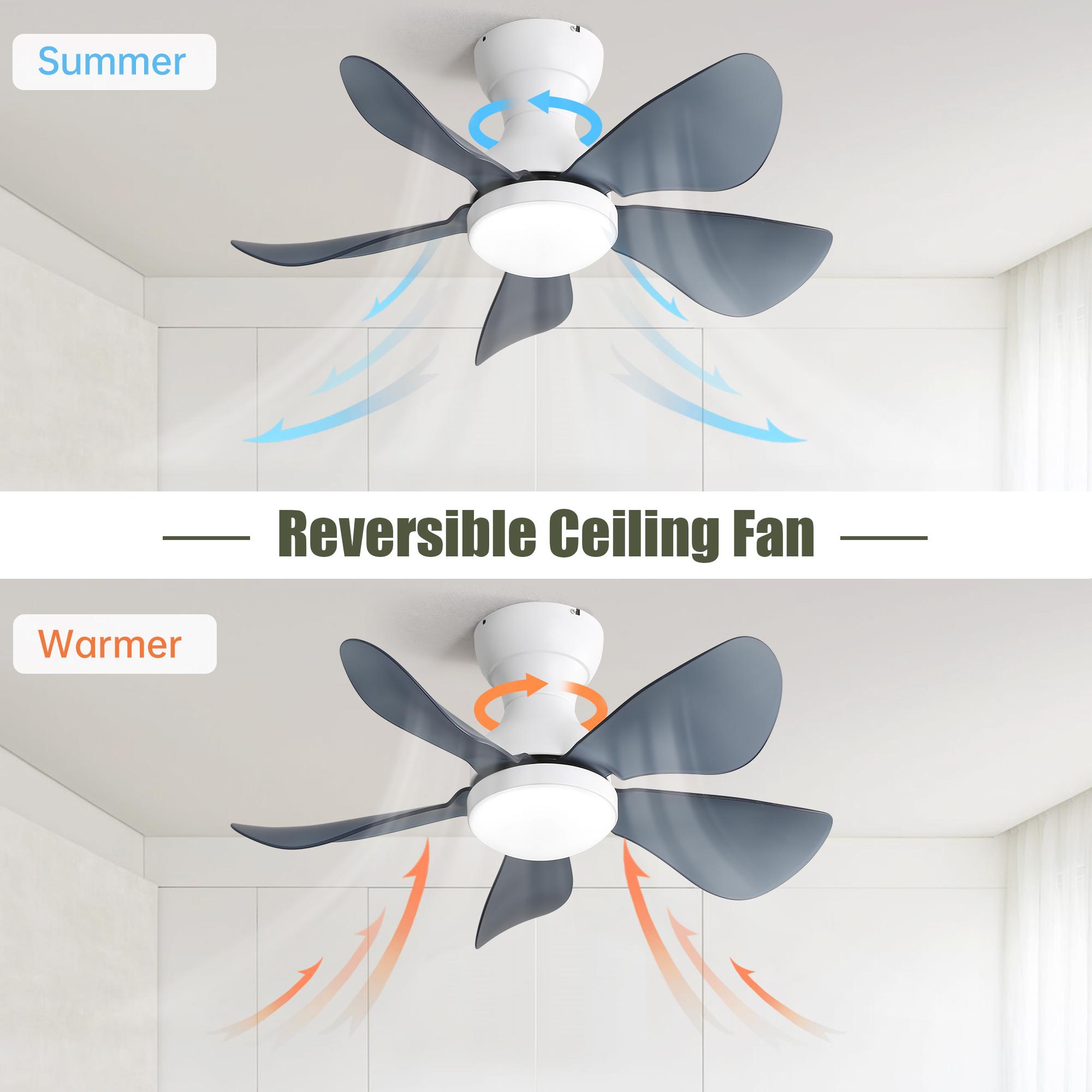 Bayfeve BFKS-64331-CF Ceiling-Fans - View #7