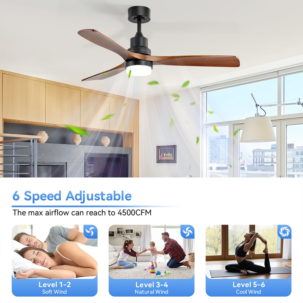 Sofucor LW-5247-BK-DC-HTM Ceiling-Fans - View #15