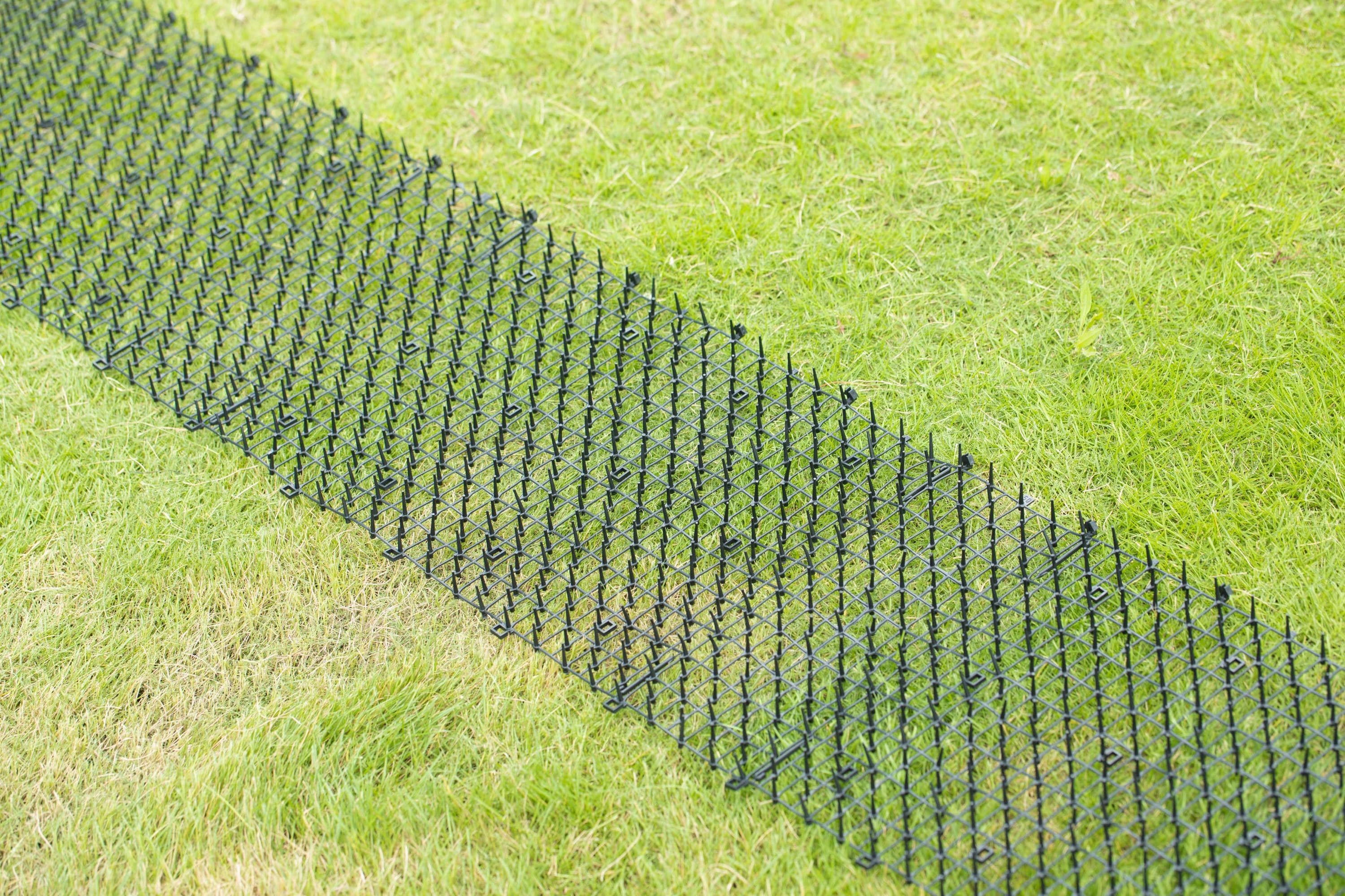Gardenised 80-in x 1-in Barrier and Dig Protection in the Barriers & Dig  Protection department at