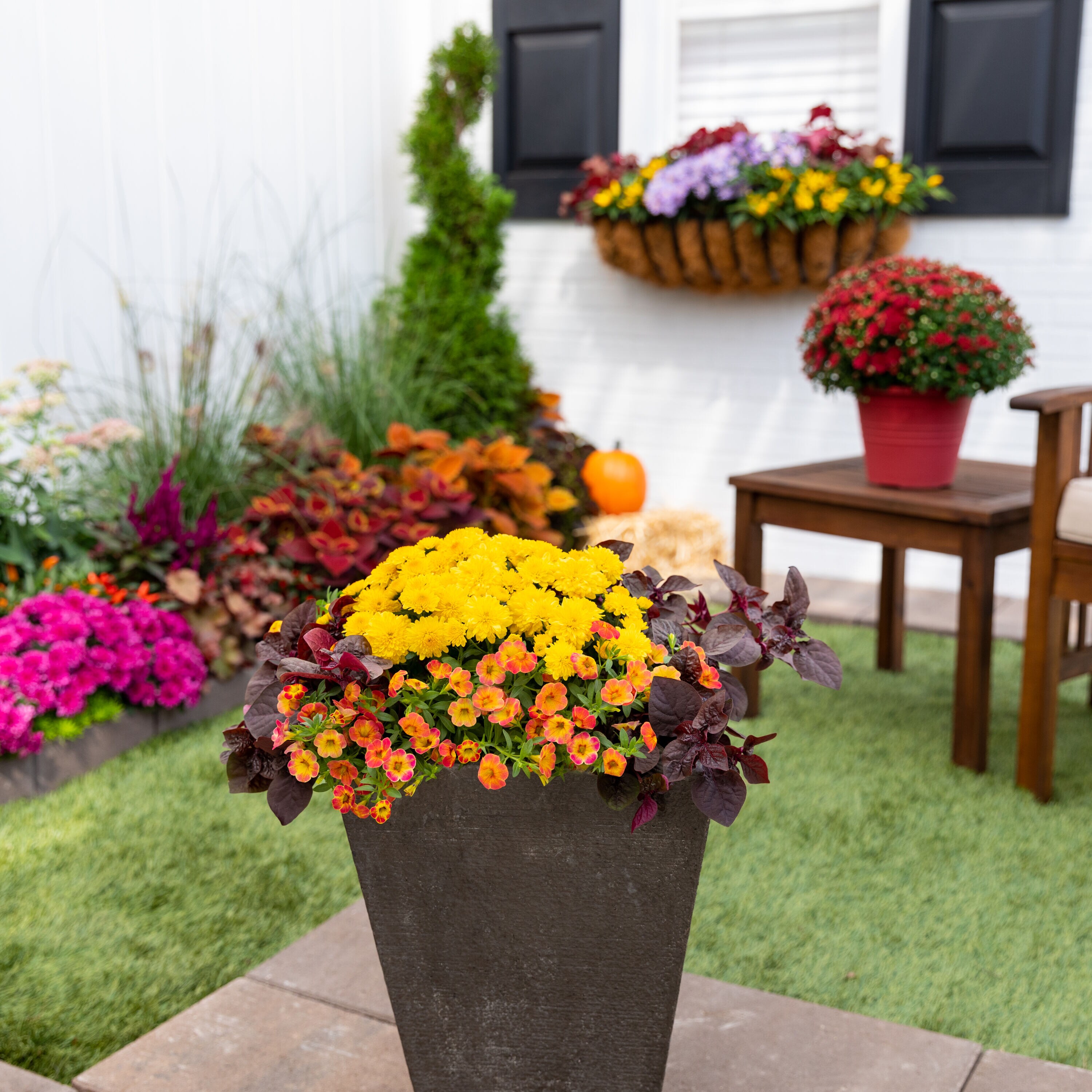 Ready Refill 4123 annuals - View #3