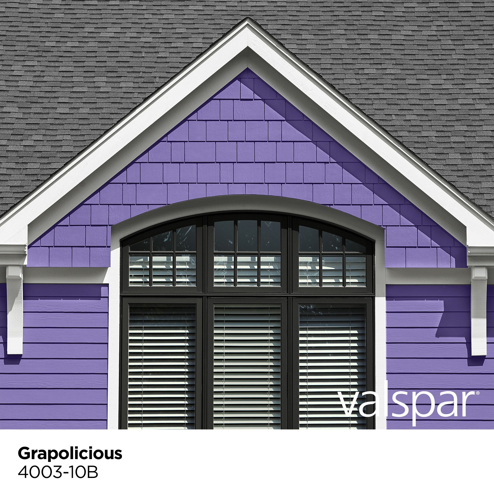 Valspar 4003-10B-146773 Exterior-Paints - View #3