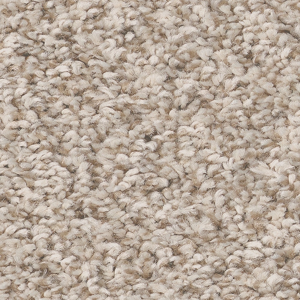 STAINMASTER 7L886 - 109 - SAMP (Sample) Peak Tranquility I Kidskin Brown 43.9-oz sq yard Polyester Textured Indoor Carpet